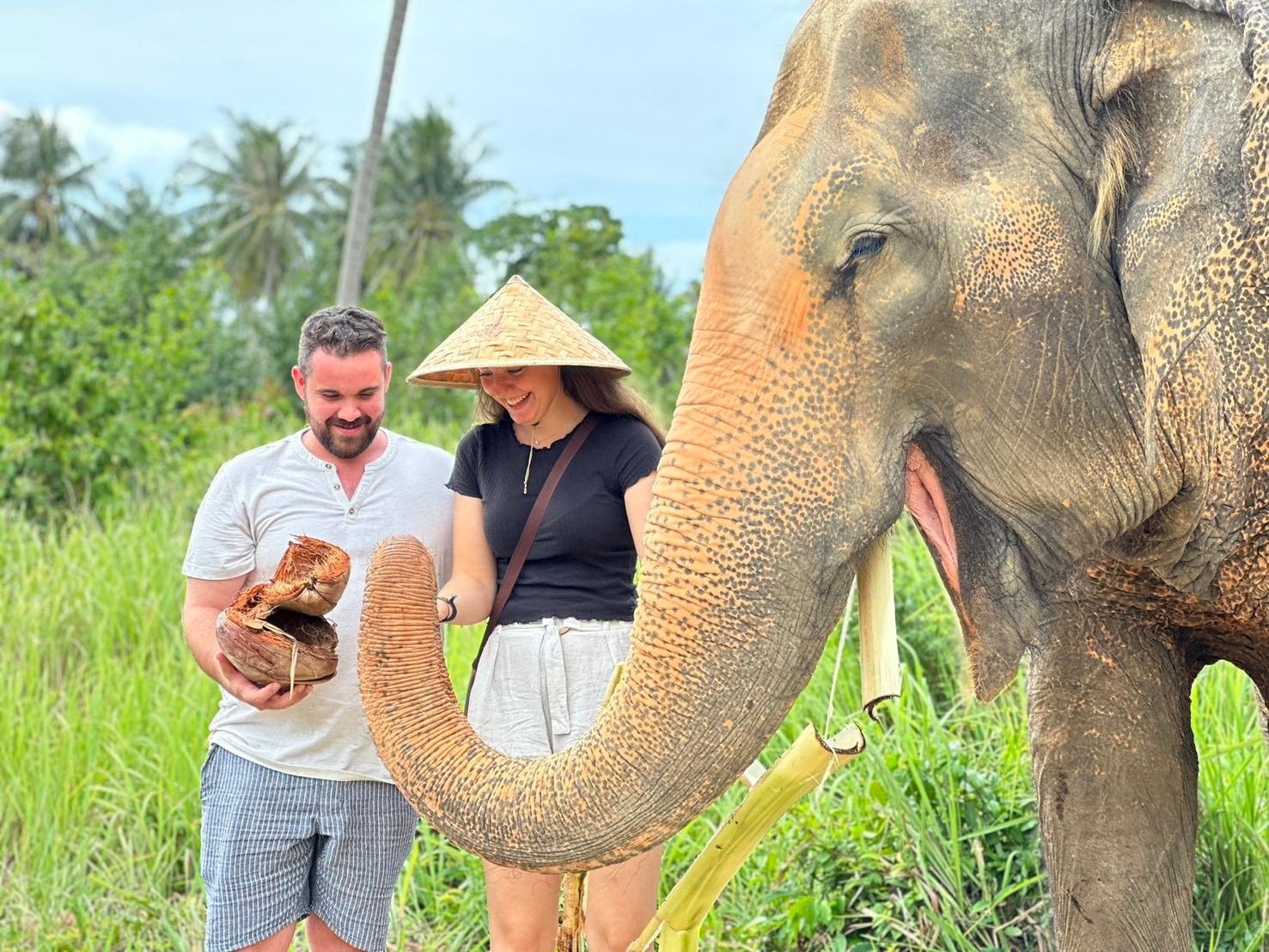 Samui Elephant Home: Ethical Sanctuary Visit & Conservation