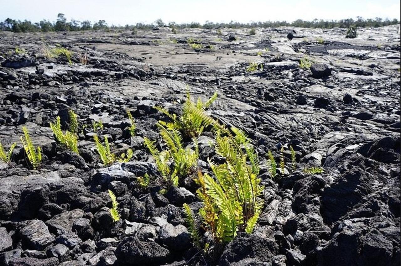 Big Island Hawaii Volcano Day tour from Oahu and Hotel PU — Kilauea and Hawaii Volcanoes National Park scenery (2)