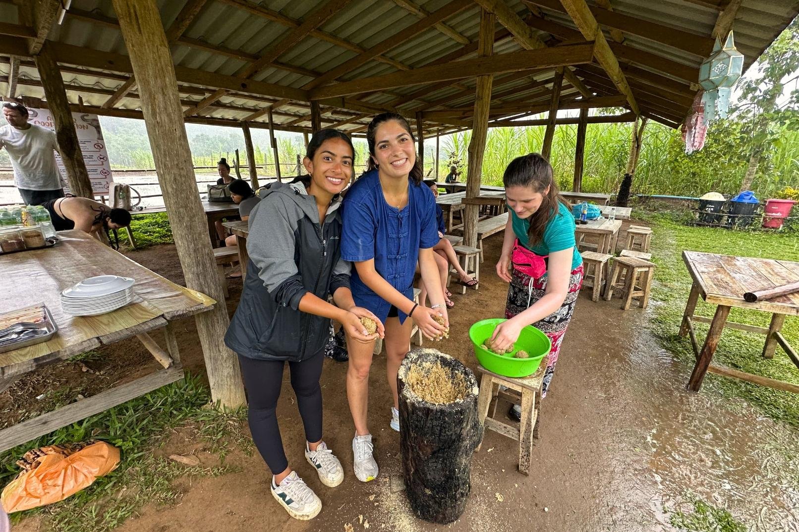 Chiang Mai: Ethical Elephant Tour & Pad Thai Cooking