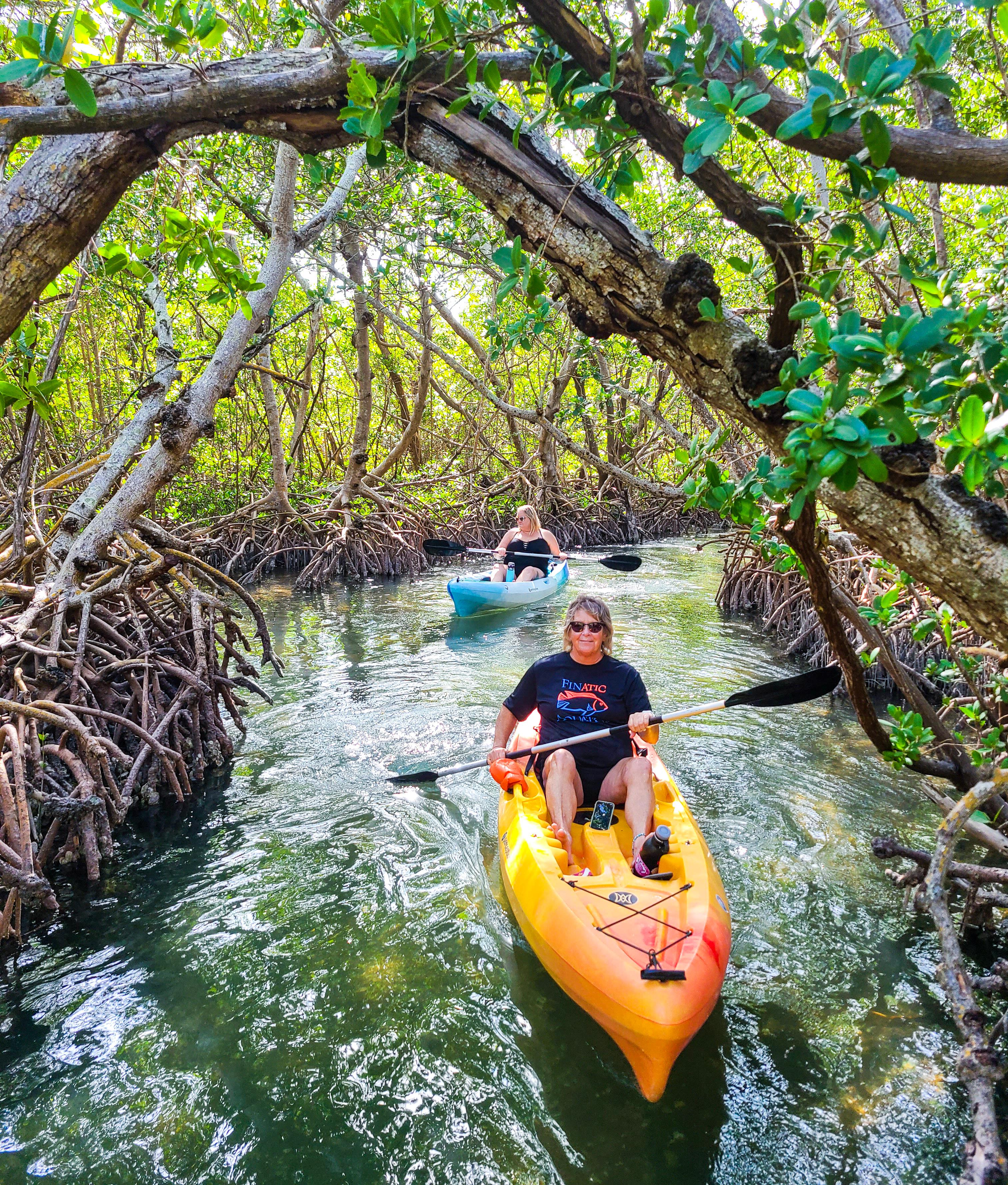 Lido Key Mangrove Tunnel Kayak & Paddleboard Adventure