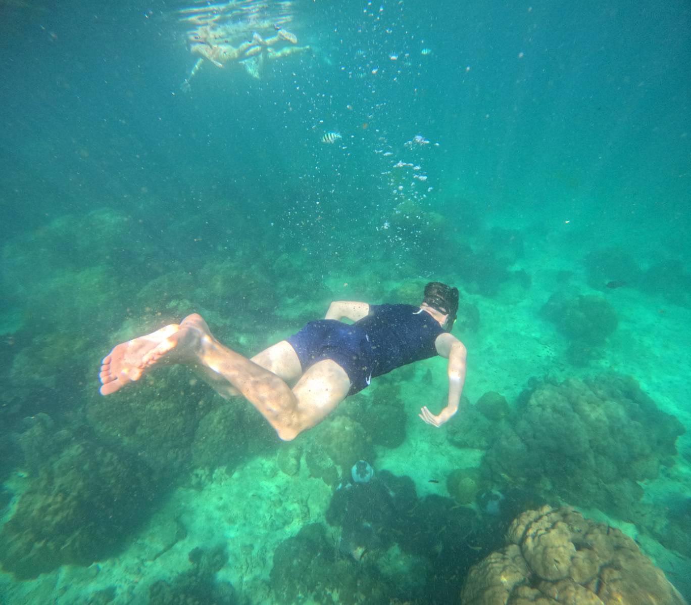 Pig Island & Koh Tan Snorkeling Express