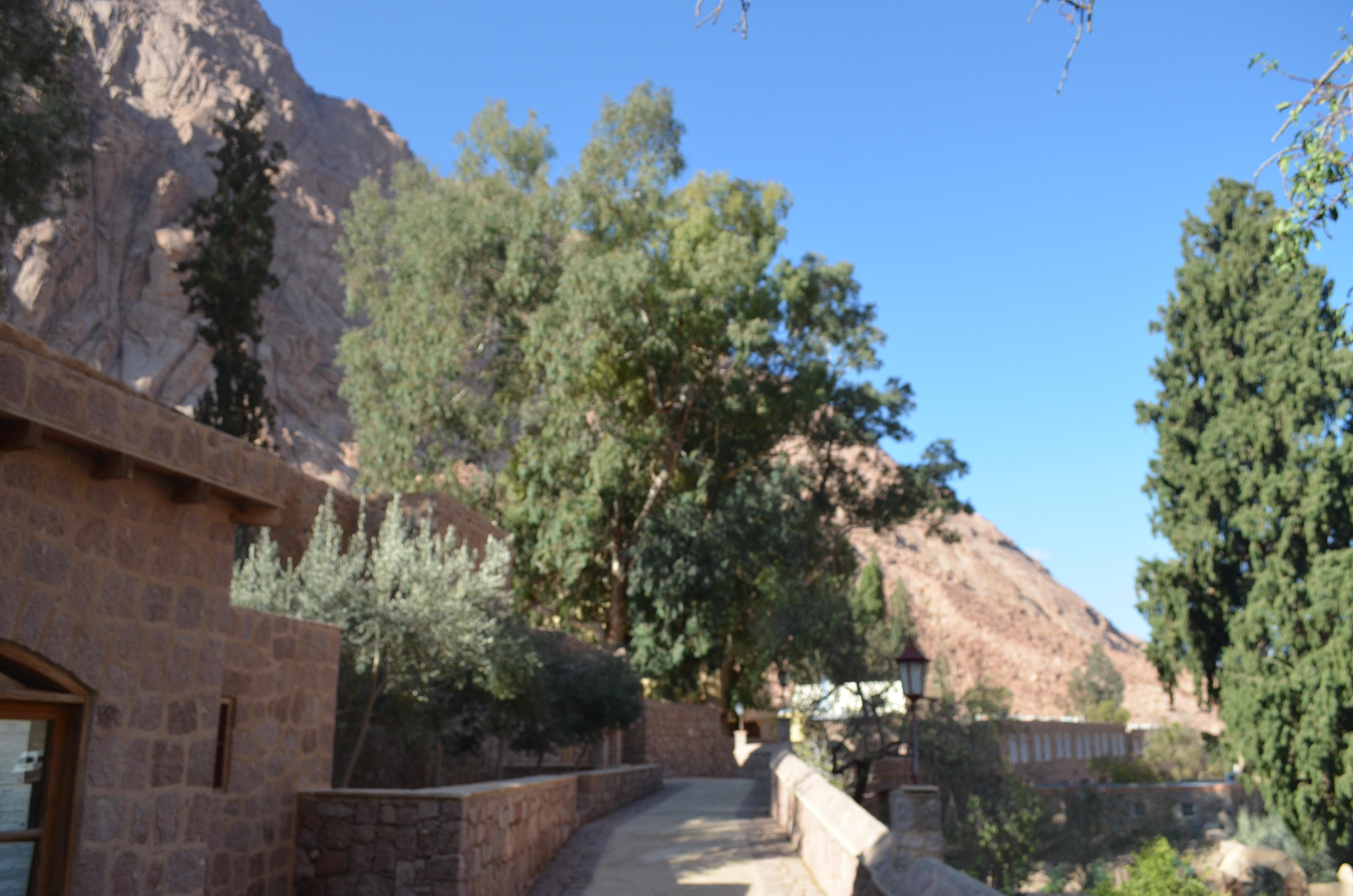Sharm El Sheikh: Private Day Tour to Saint Catherine's Monastery