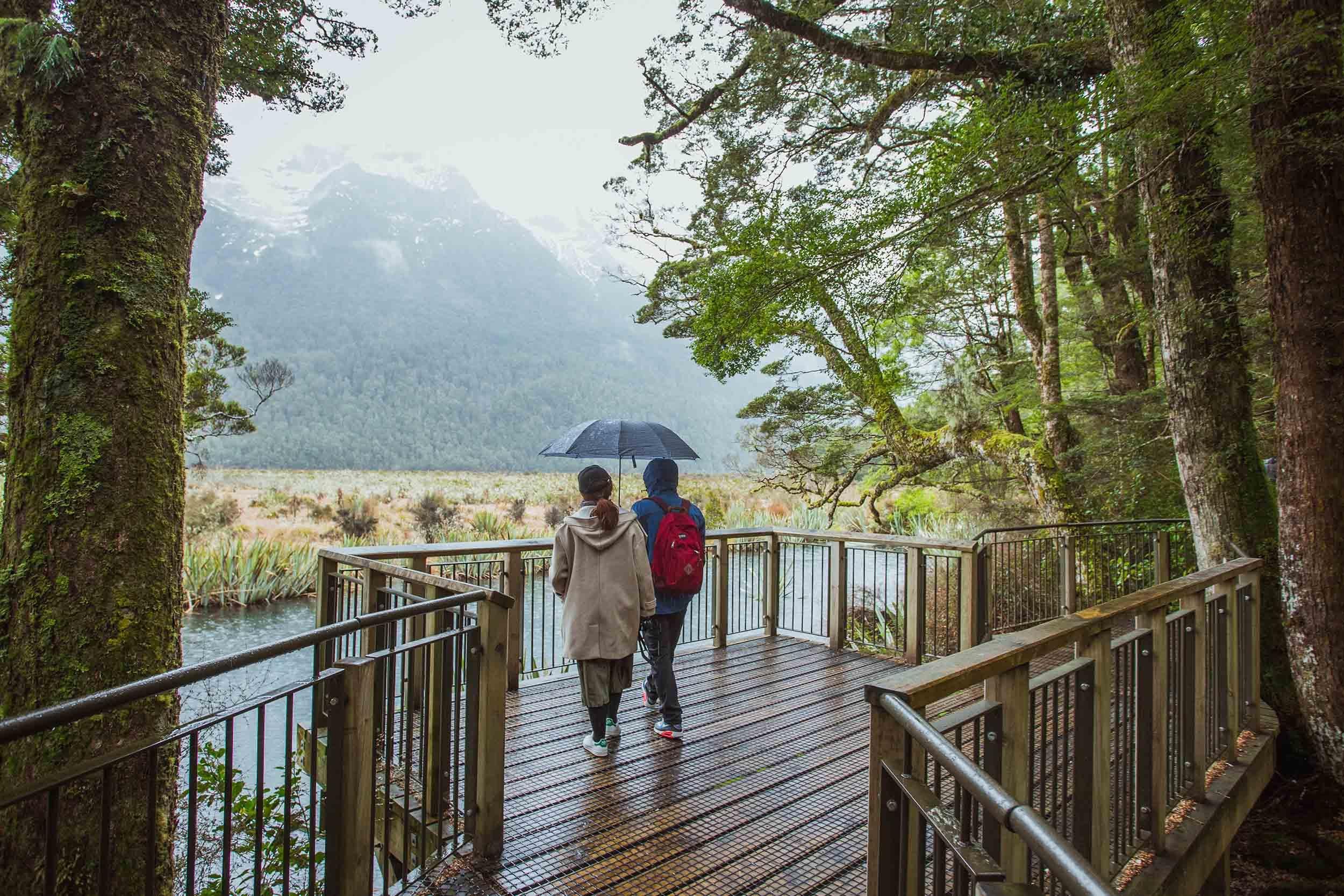 Queenstown to Milford Sound: Full-Day Coach & Cruise