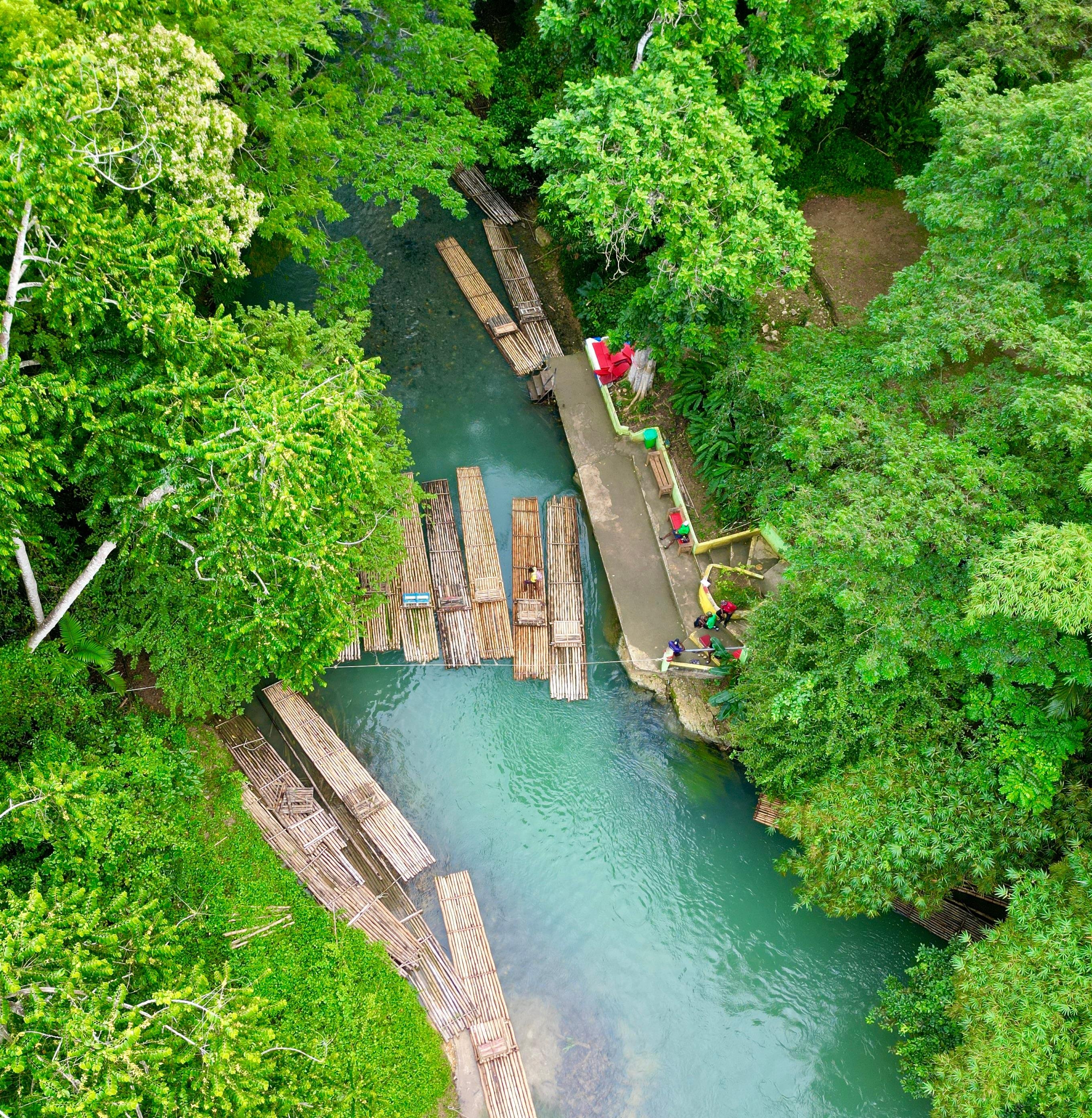 Martha Brae Rafting & Luminous Lagoon Night Tour