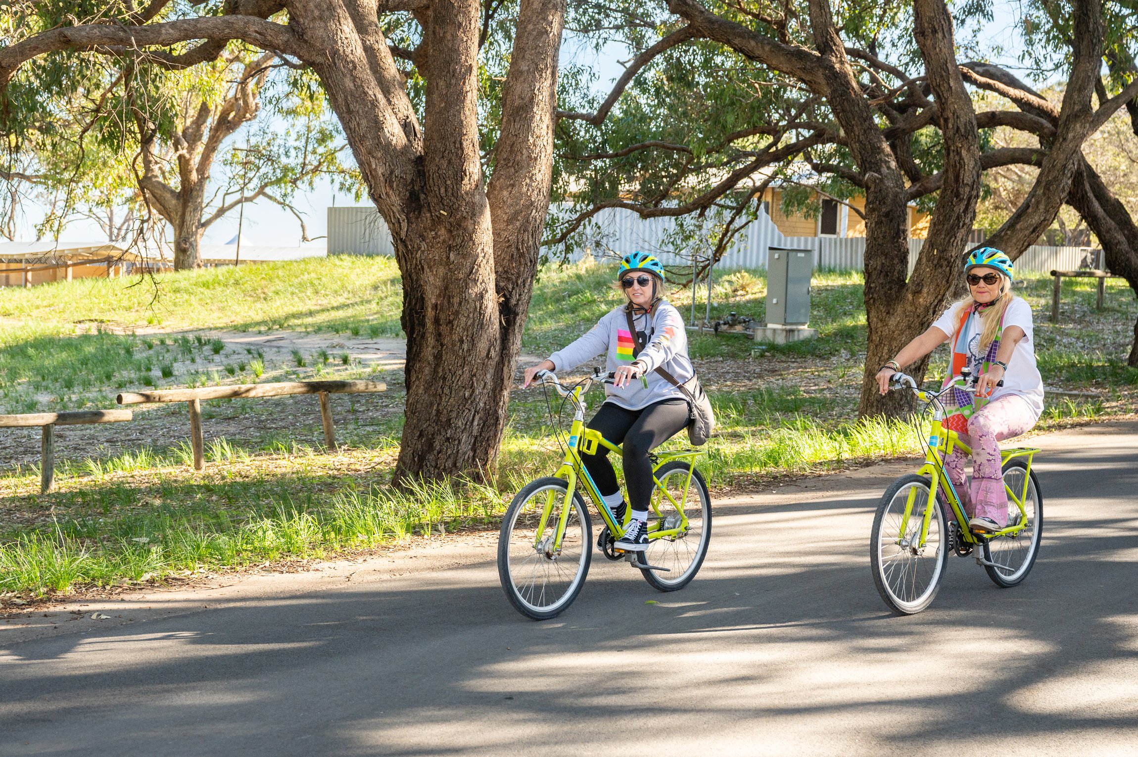 Rottnest Island bike and ferry tour — image 11