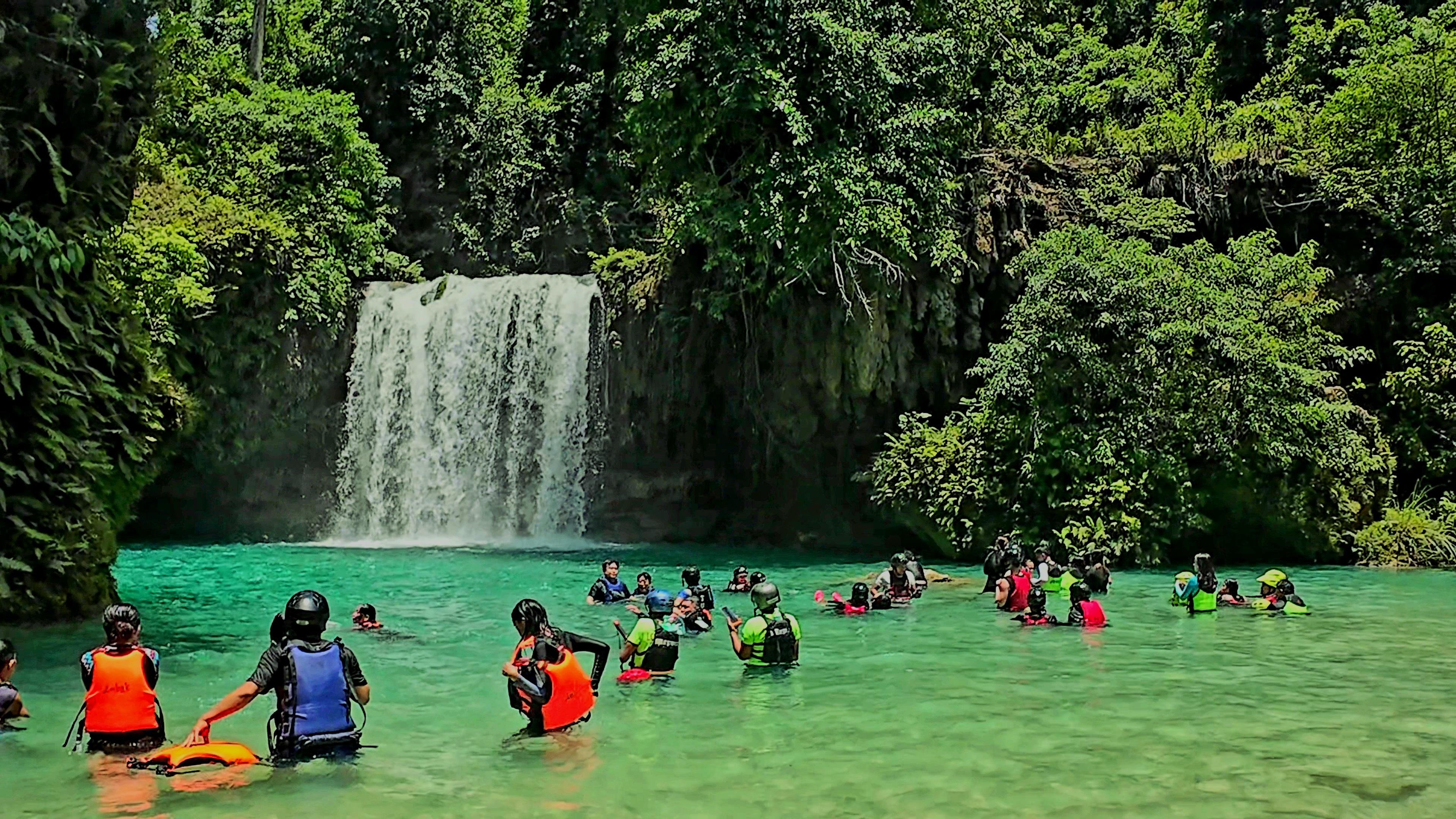 Moalboal Sardine Run & Kawasan Falls Canyoneering Day Tour from Cebu
