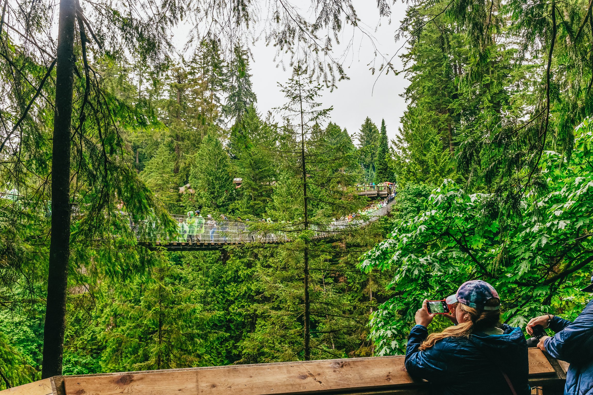 Vancouver Highlights: City Tour, Capilano Bridge & Granville Island