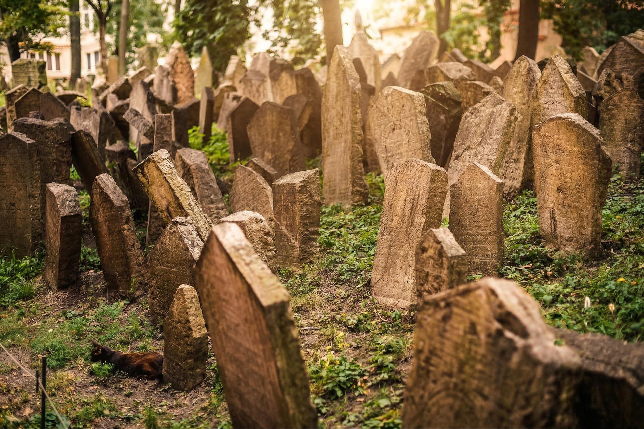Jewish Quarter Walking Tour with Synagogue Admissions