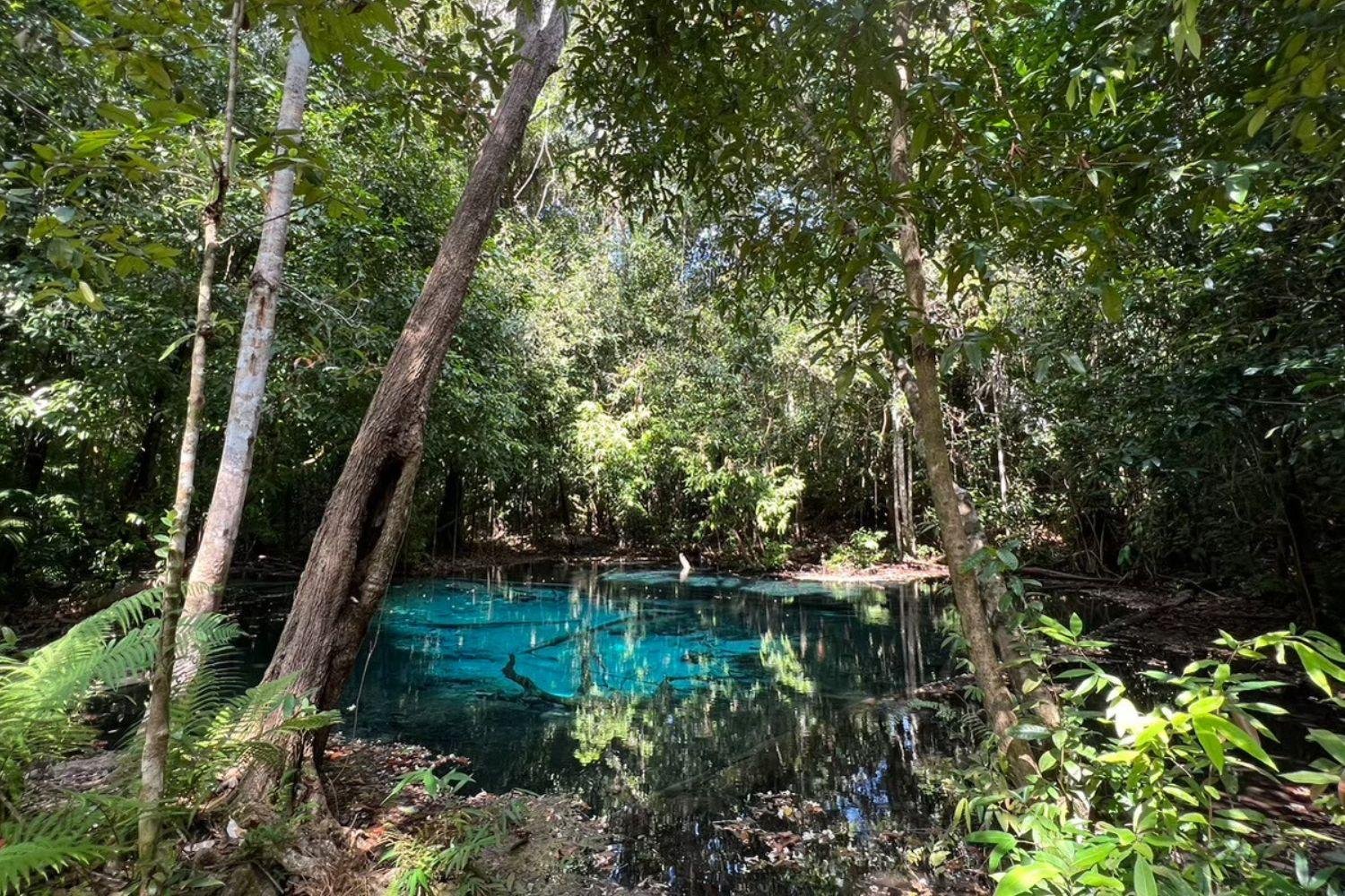 Krabi Nature Day: Emerald Pool, Hot Springs & Freshwater Kayaking