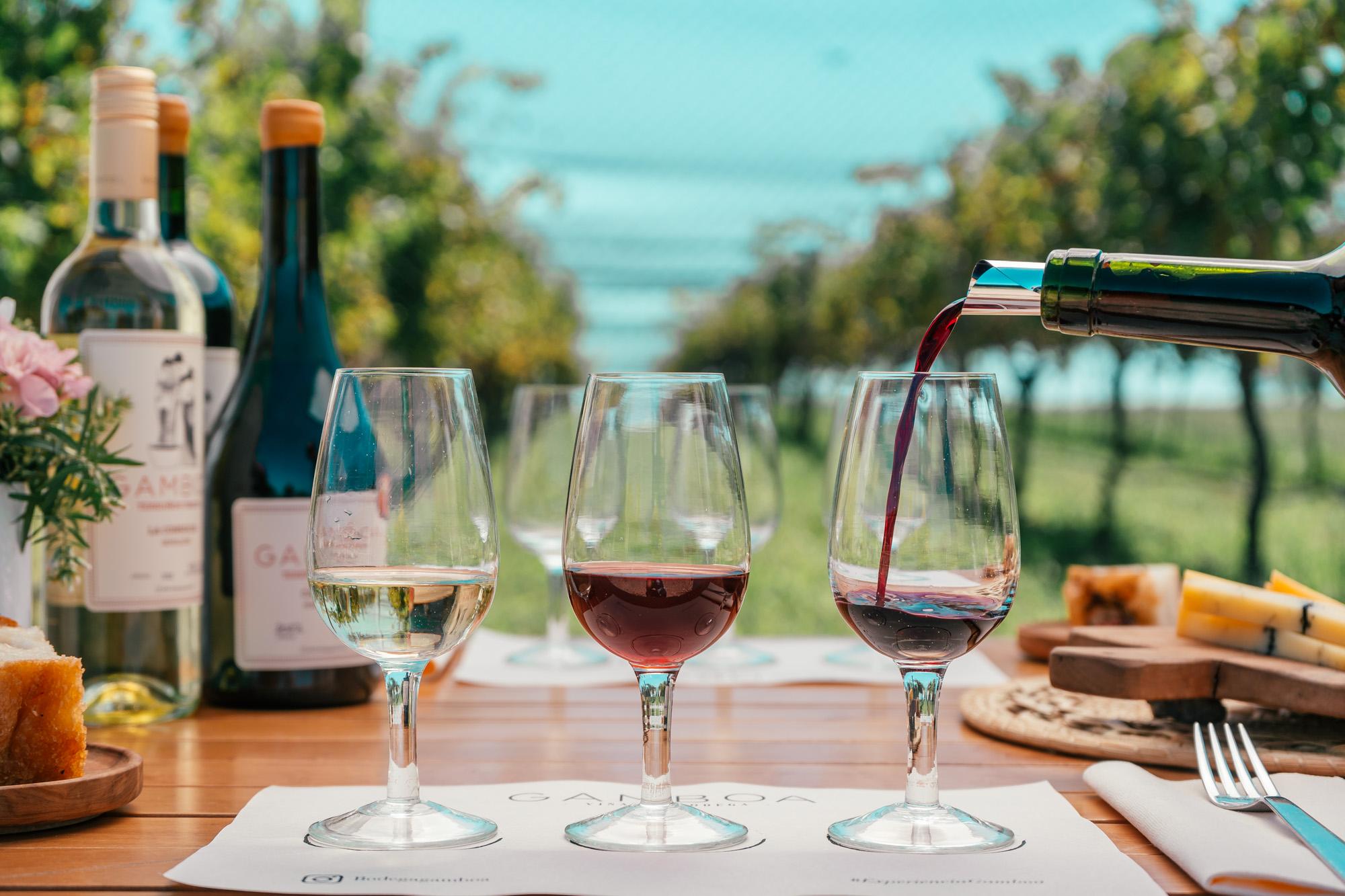 Gamboa Vineyard Wine Tasting & Gourmet Lunch from Buenos Aires
