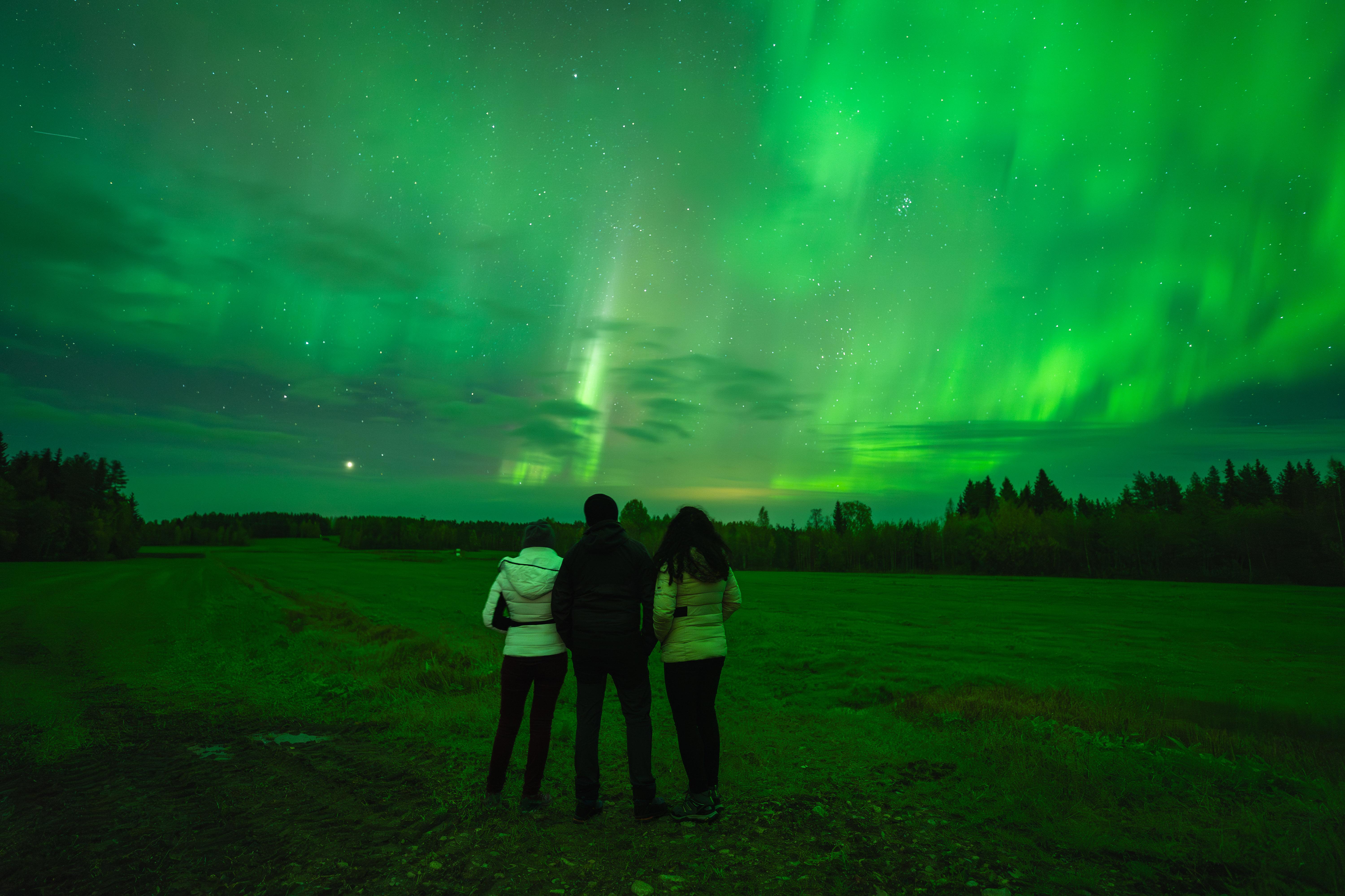 Rovaniemi Aurora Hunt – Expert-Led Northern Lights Chase with Free Photos