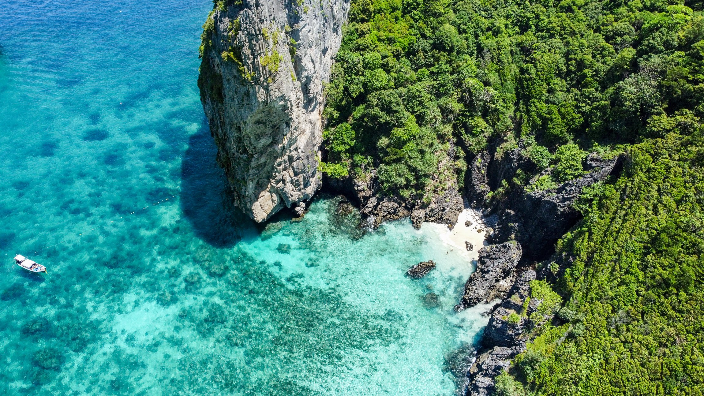 Phuket Speedboat Day Trip: Maya Bay, Phi Phi & Bamboo Island with Buffet Lunch