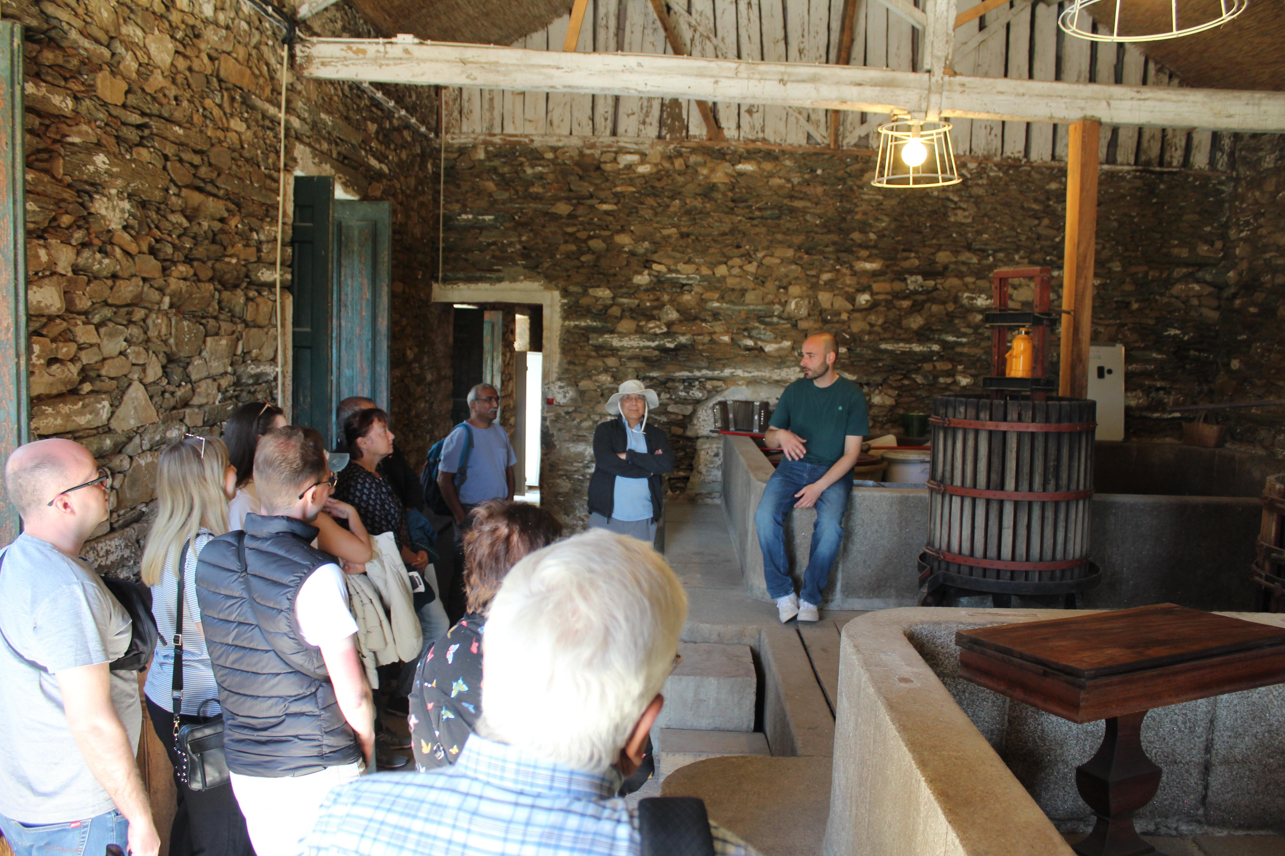 Douro Valley Wine & Cruise Day Trip from Porto
