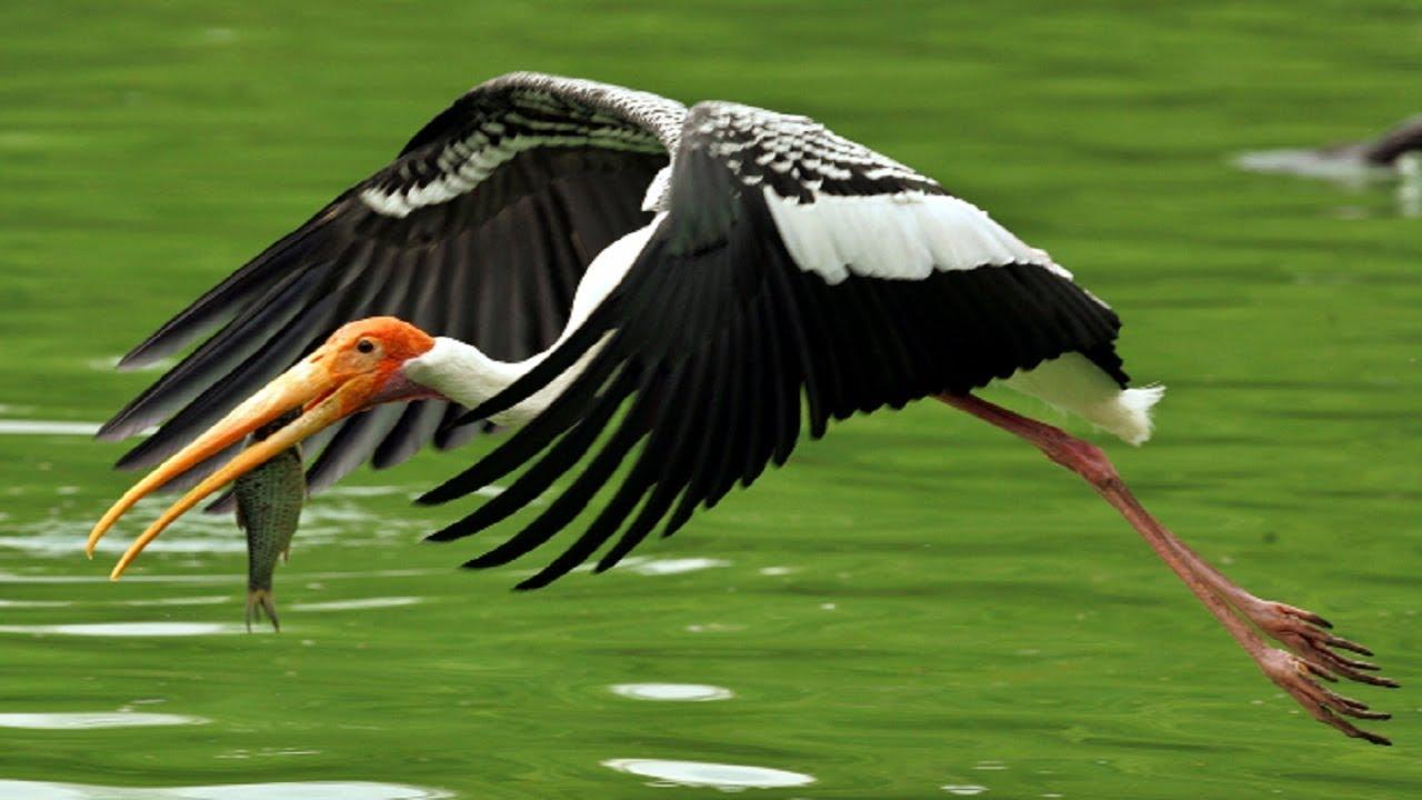 Jaipur to Agra Private Transfer via Bharatpur & Abhaneri