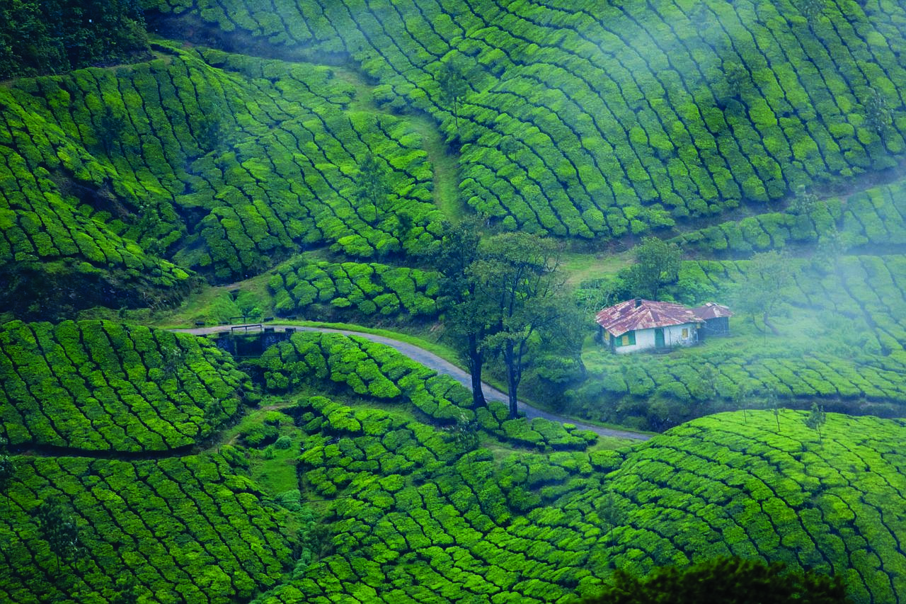 6-Day Kerala Backwaters and Houseboat Private Expedition