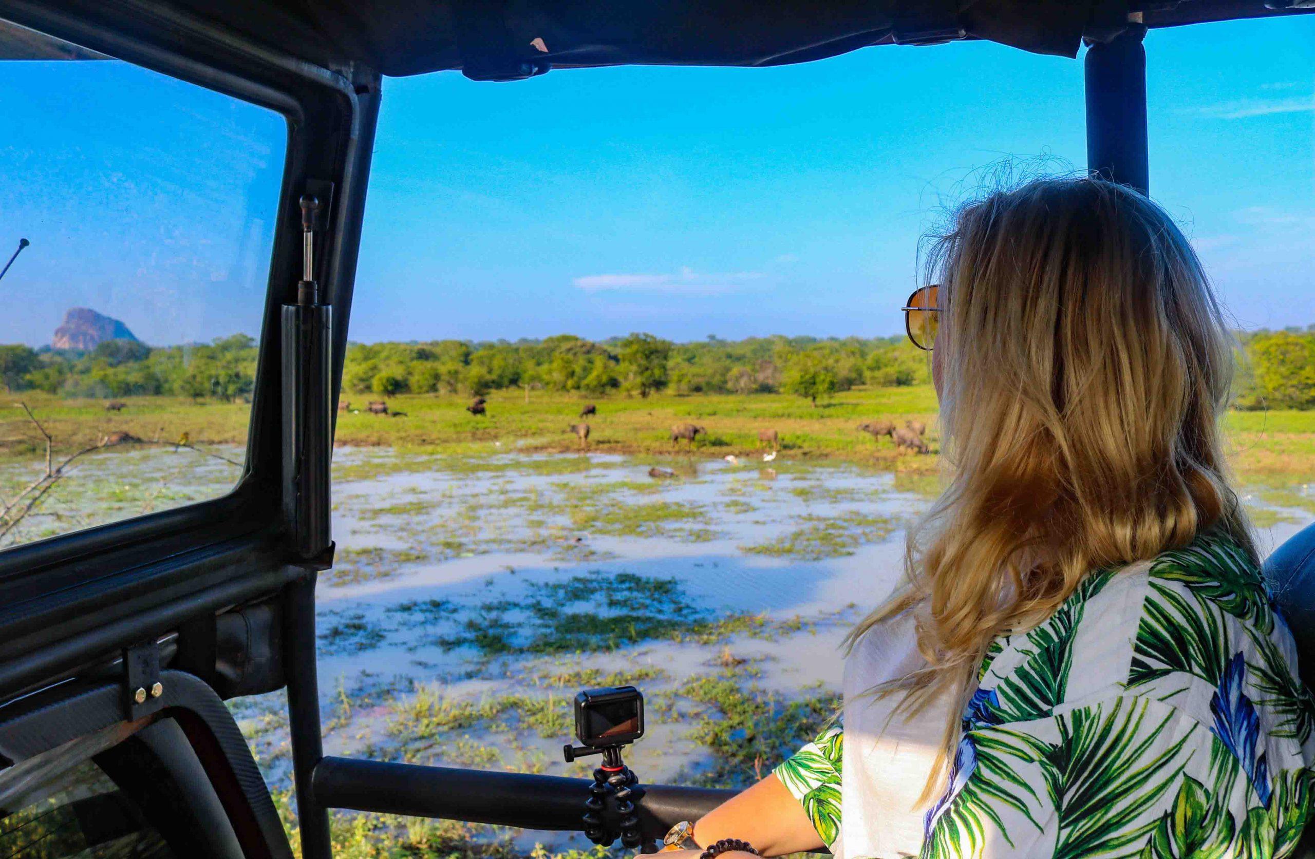 Yala National Park Leopard Safari with Skip-the-Line Entry