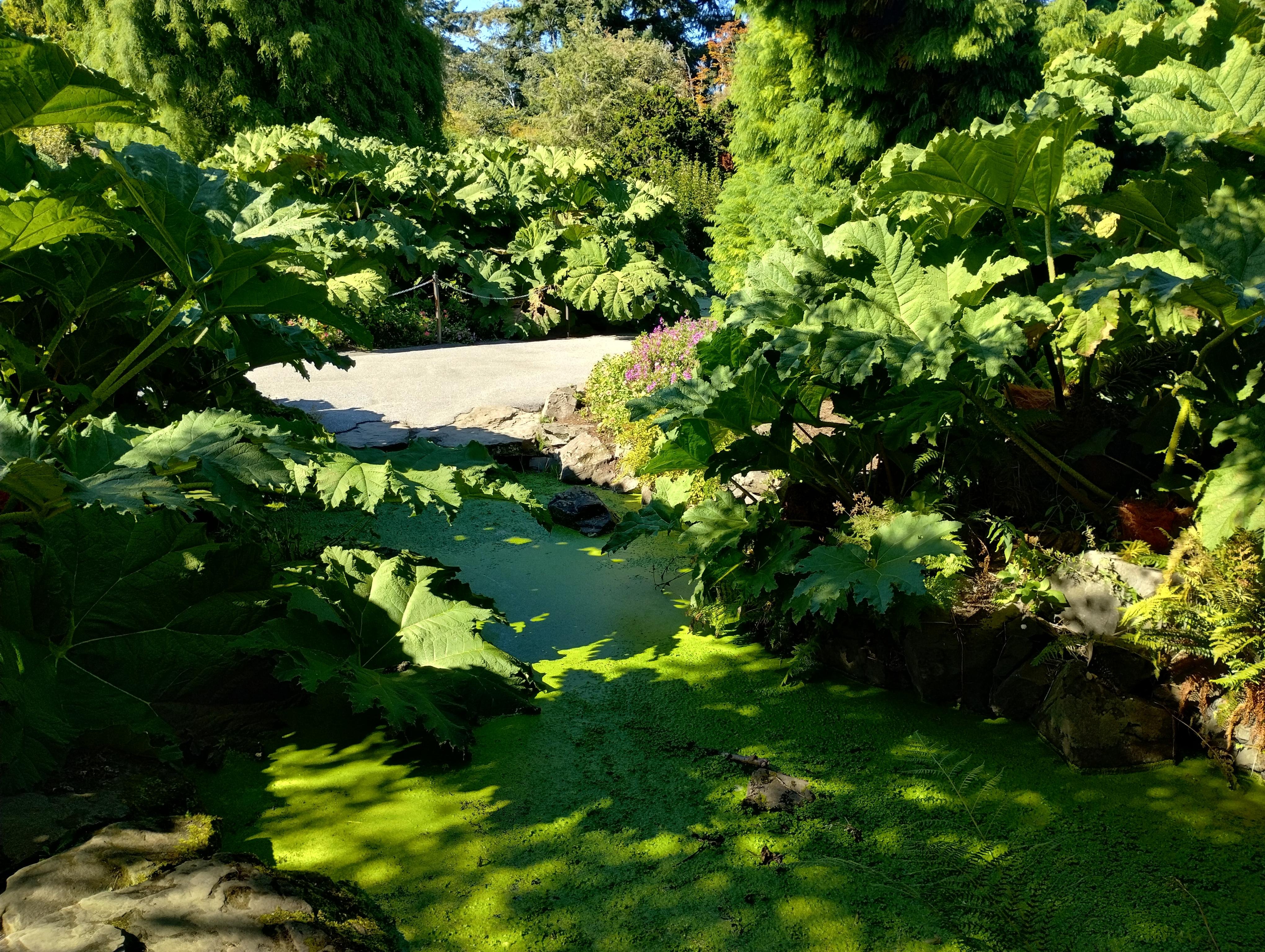 Complete Vancouver Private Small-Group City Tour