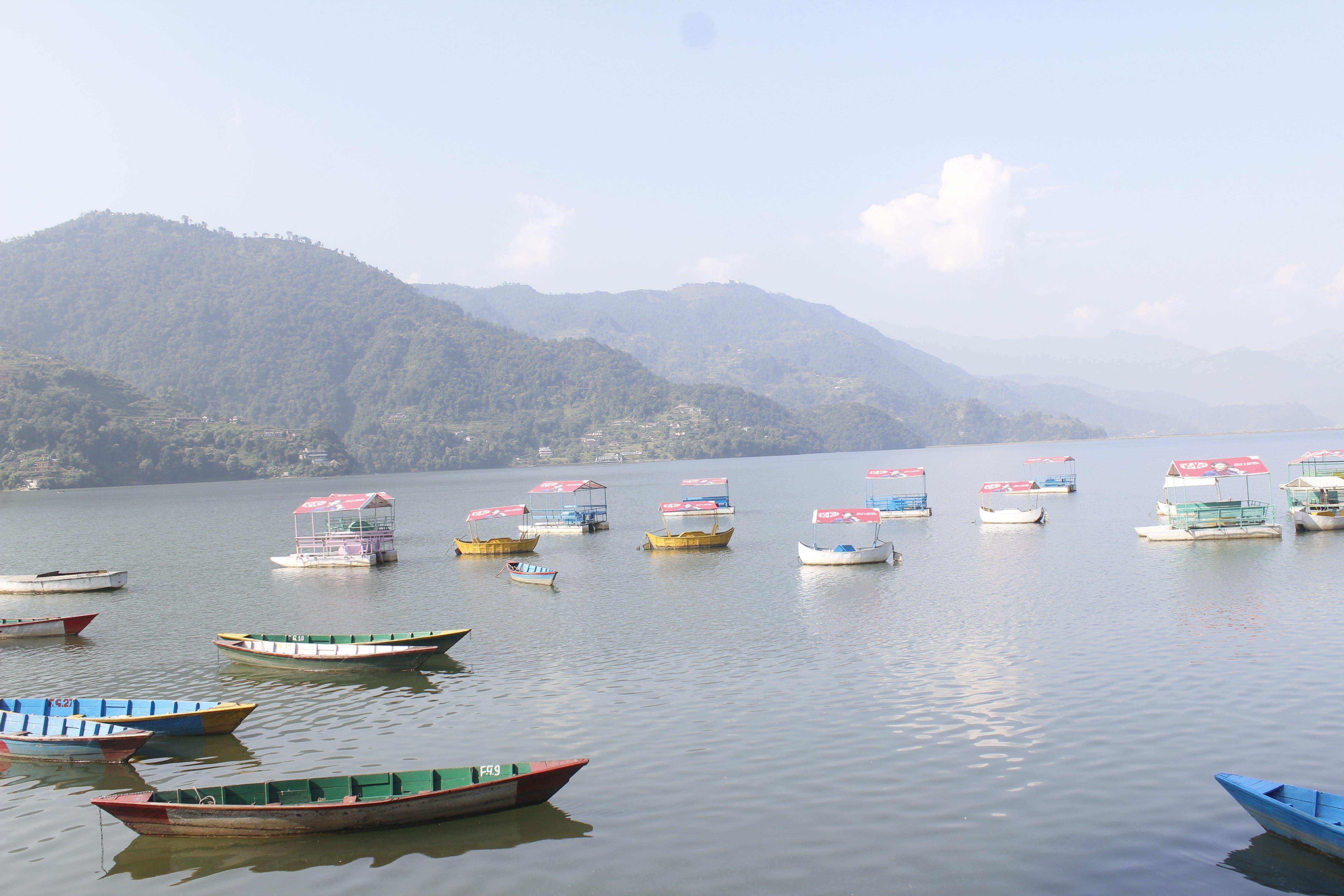 Pokhara 7-Stop Highlights Shared Bus Tour