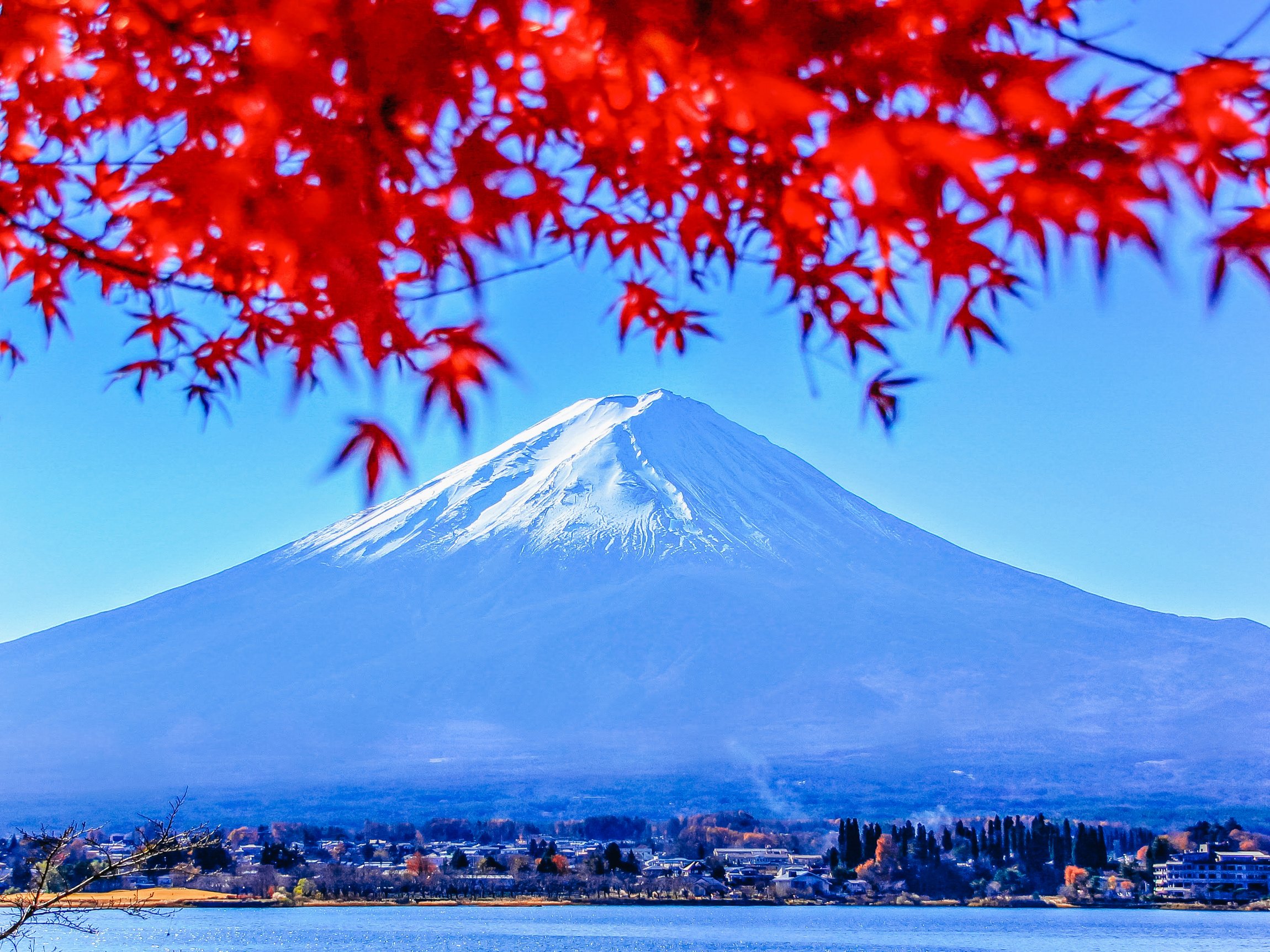 Tokyo to Mt. Fuji, Hakone & Bullet Train Day Tour