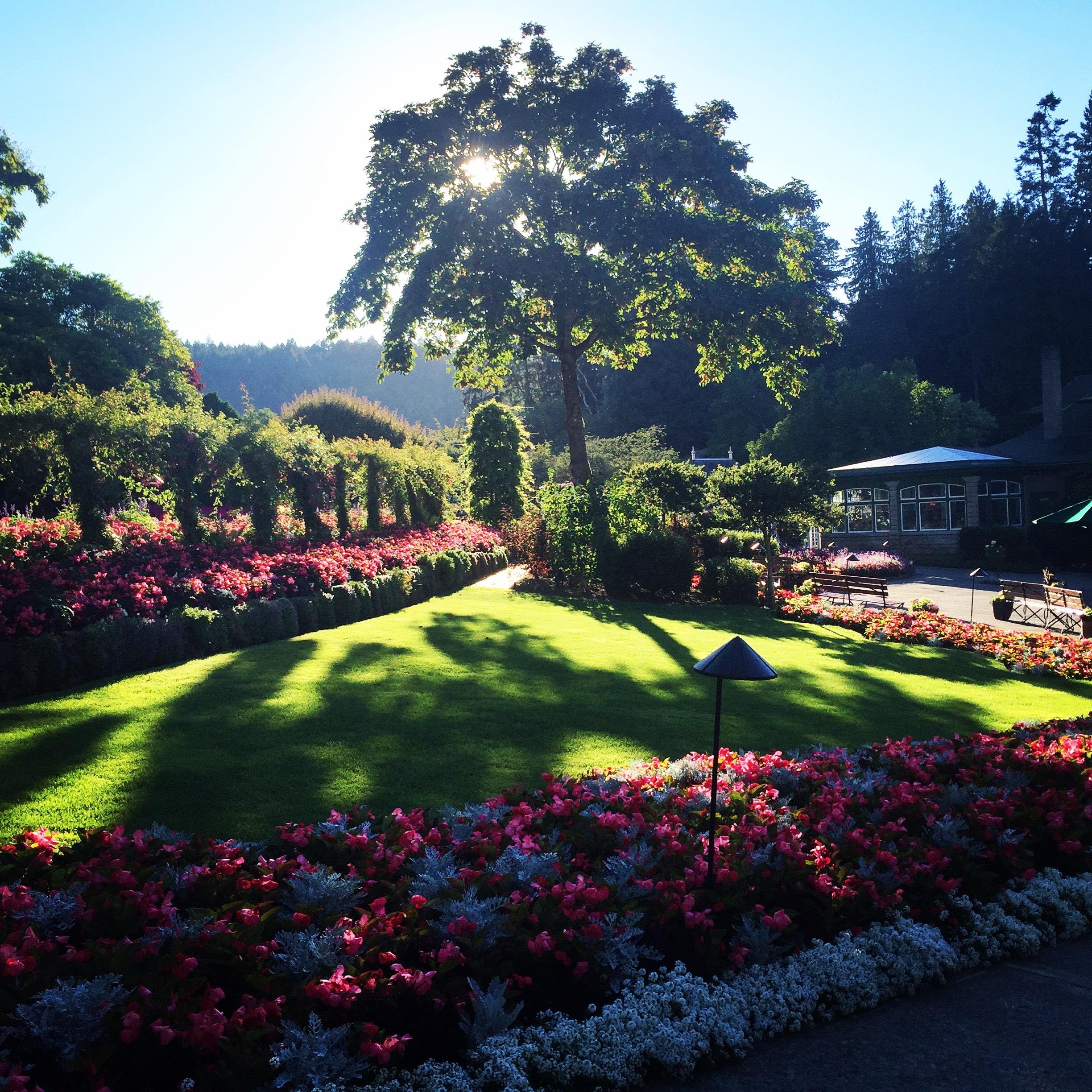 Victoria City Highlights & Butchart Gardens Guided Combo
