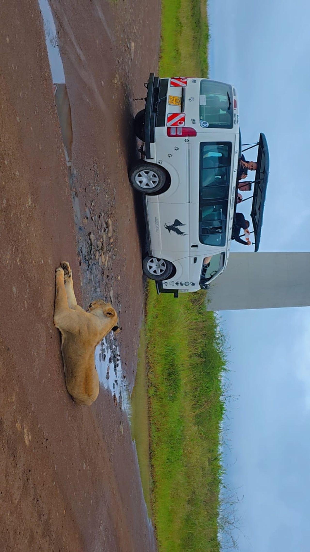 Nairobi Safari: National Park, Elephant Orphanage & Giraffe Center