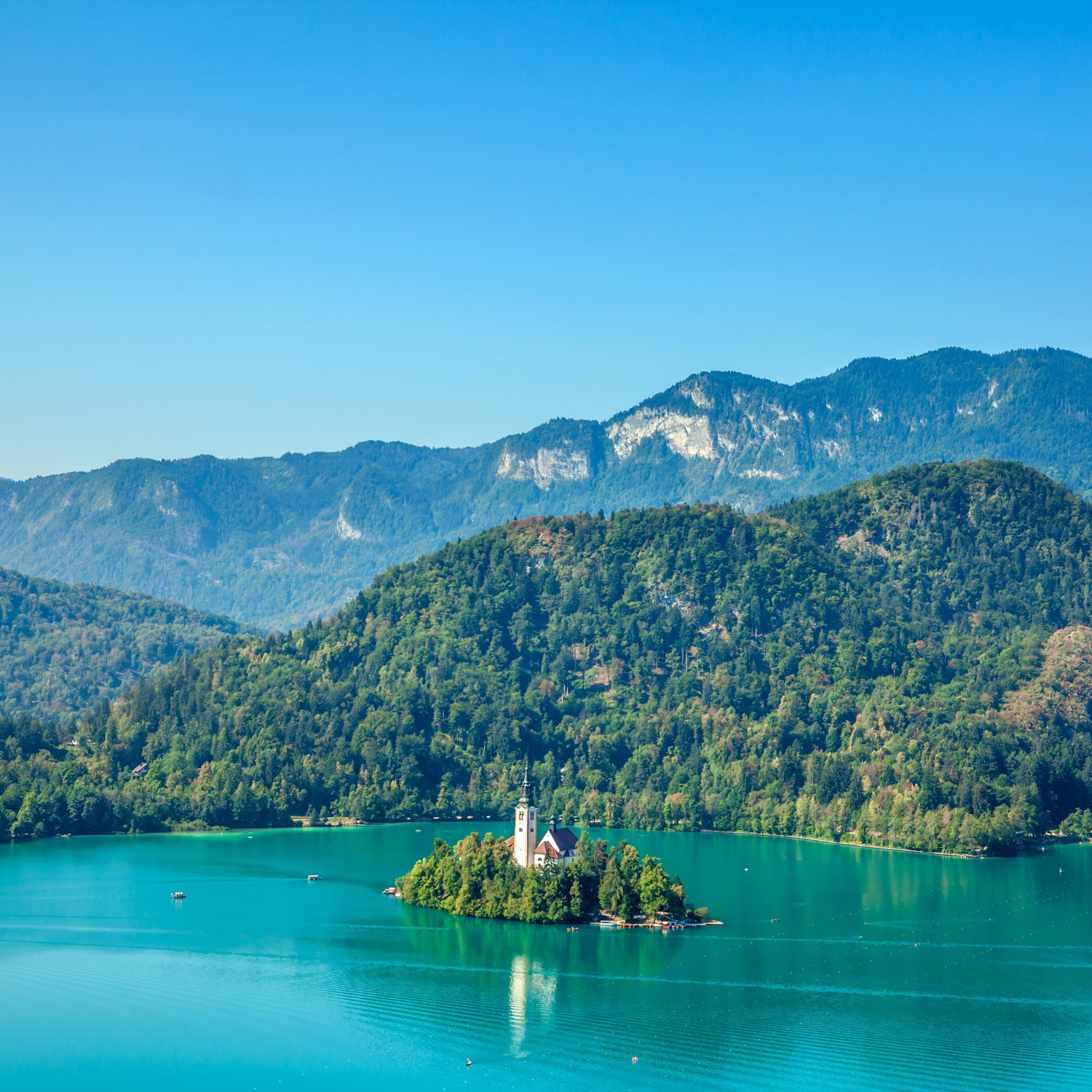 Private Nikko Day Tour from Tokyo – Fully Customizable