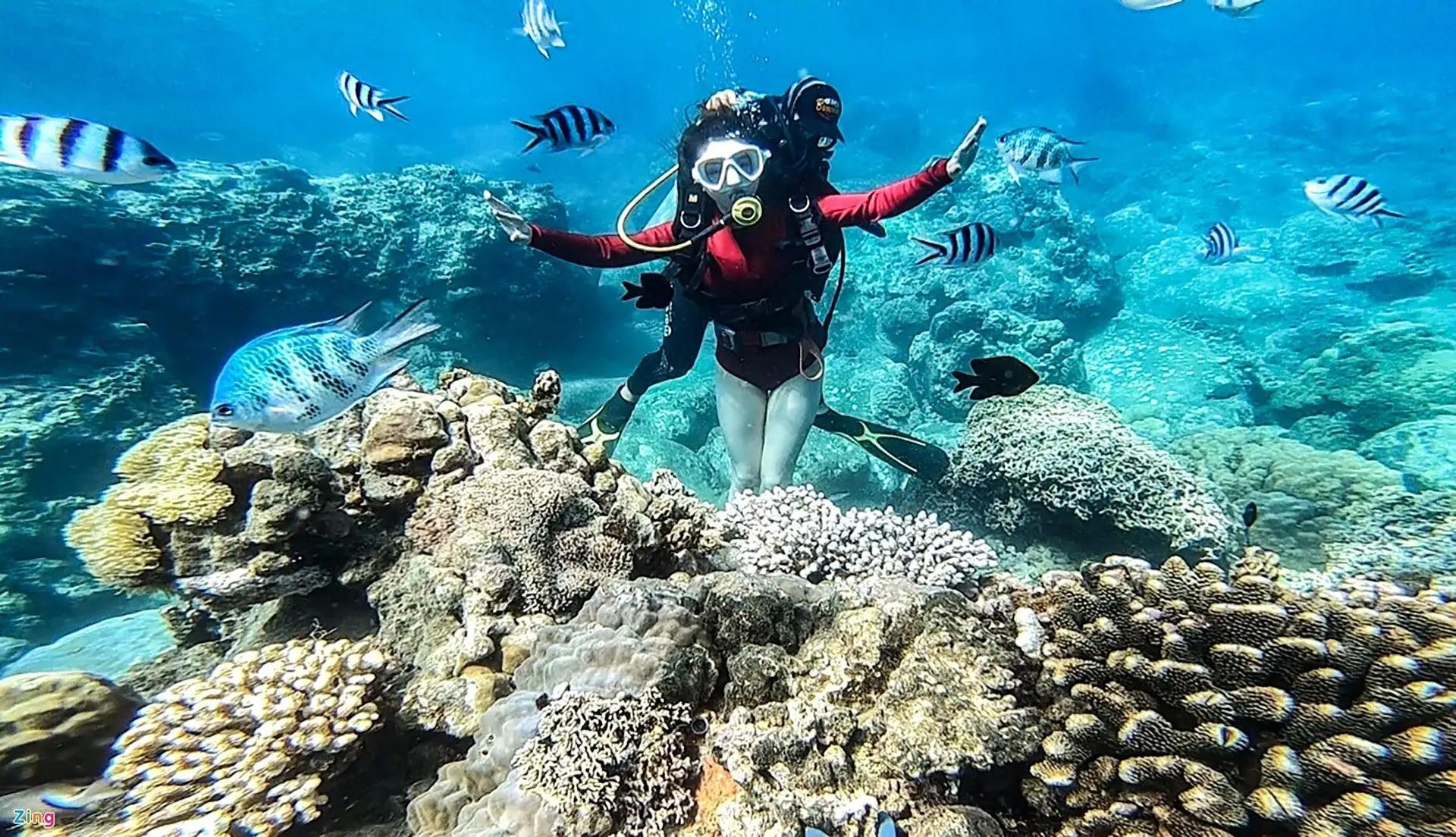 Cham Islands Scuba Diving Day Trip with PADI Option