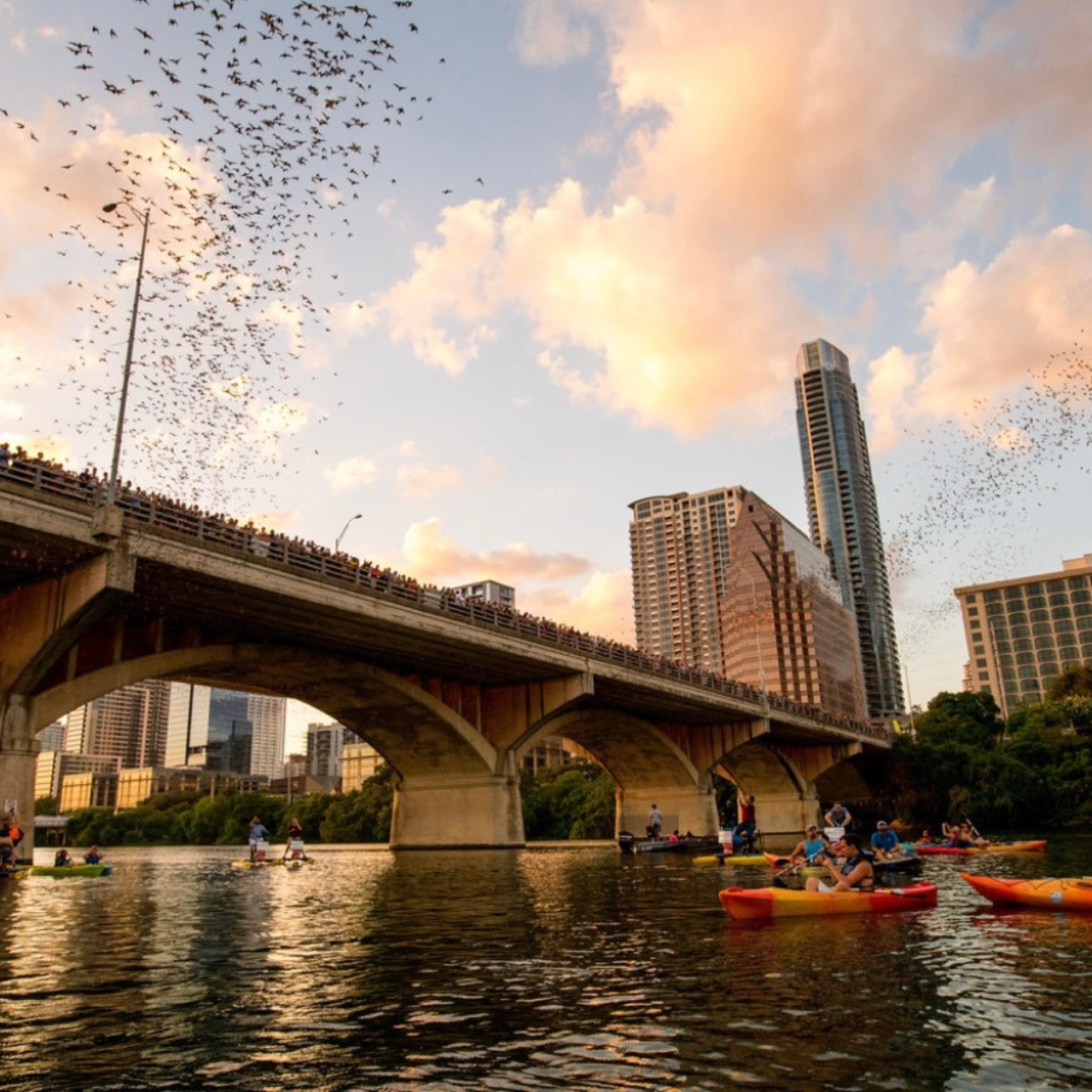 Austin Sunset Bat-Watching Kayak Experience