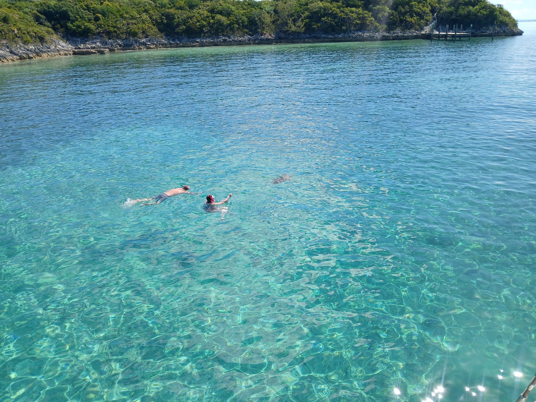 Nassau Catamaran Adventure: Swimming Pigs, Turtles & Snorkeling
