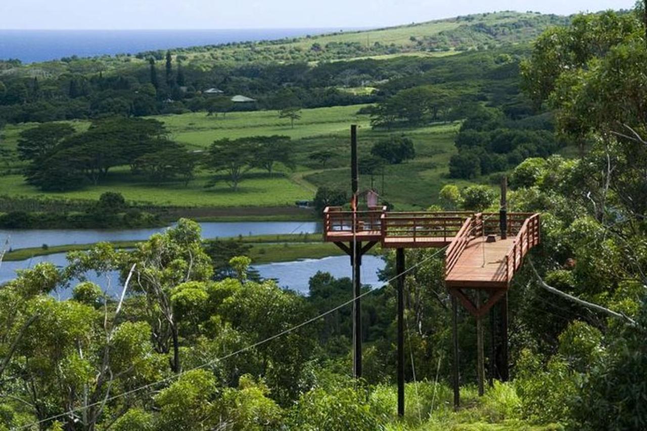 Wooden zipline platforms overlooking a reservoir and green South Shore hills