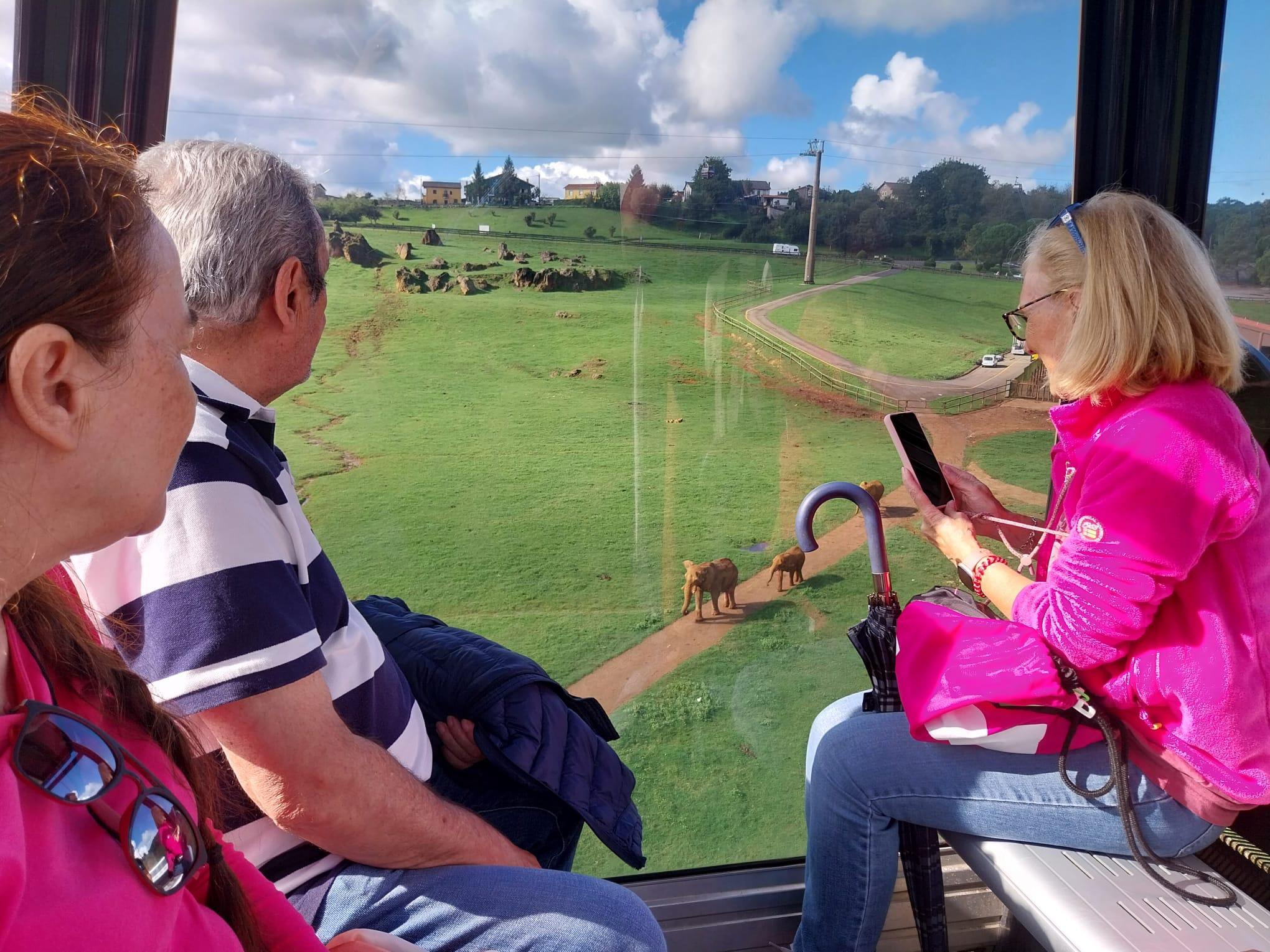 Cabárceno Wildlife Park Small-Group Tour from Santander