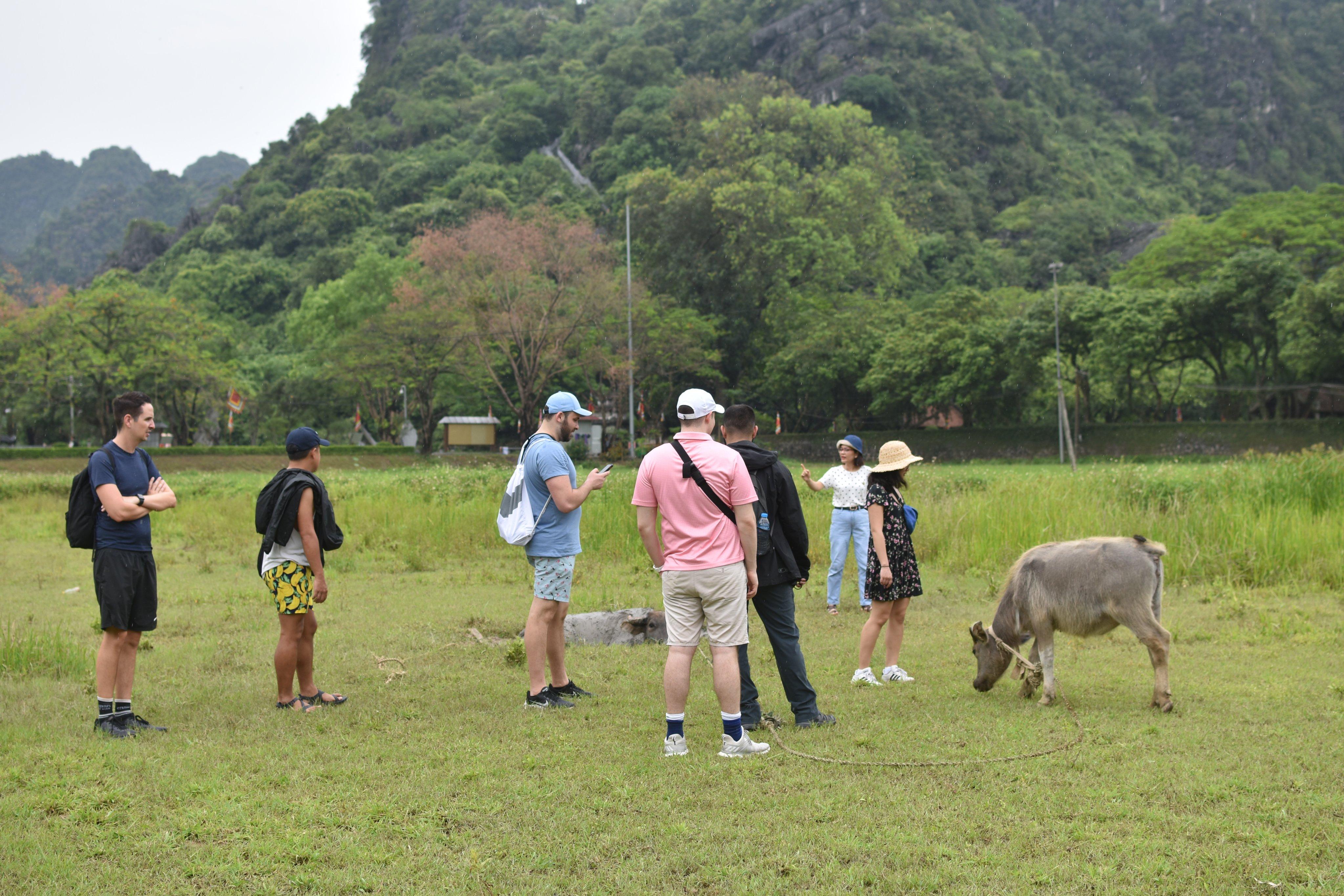 Ninh Binh Full-Day Tour: Hoa Lu, Tam Coc & Mua Cave from Hanoi