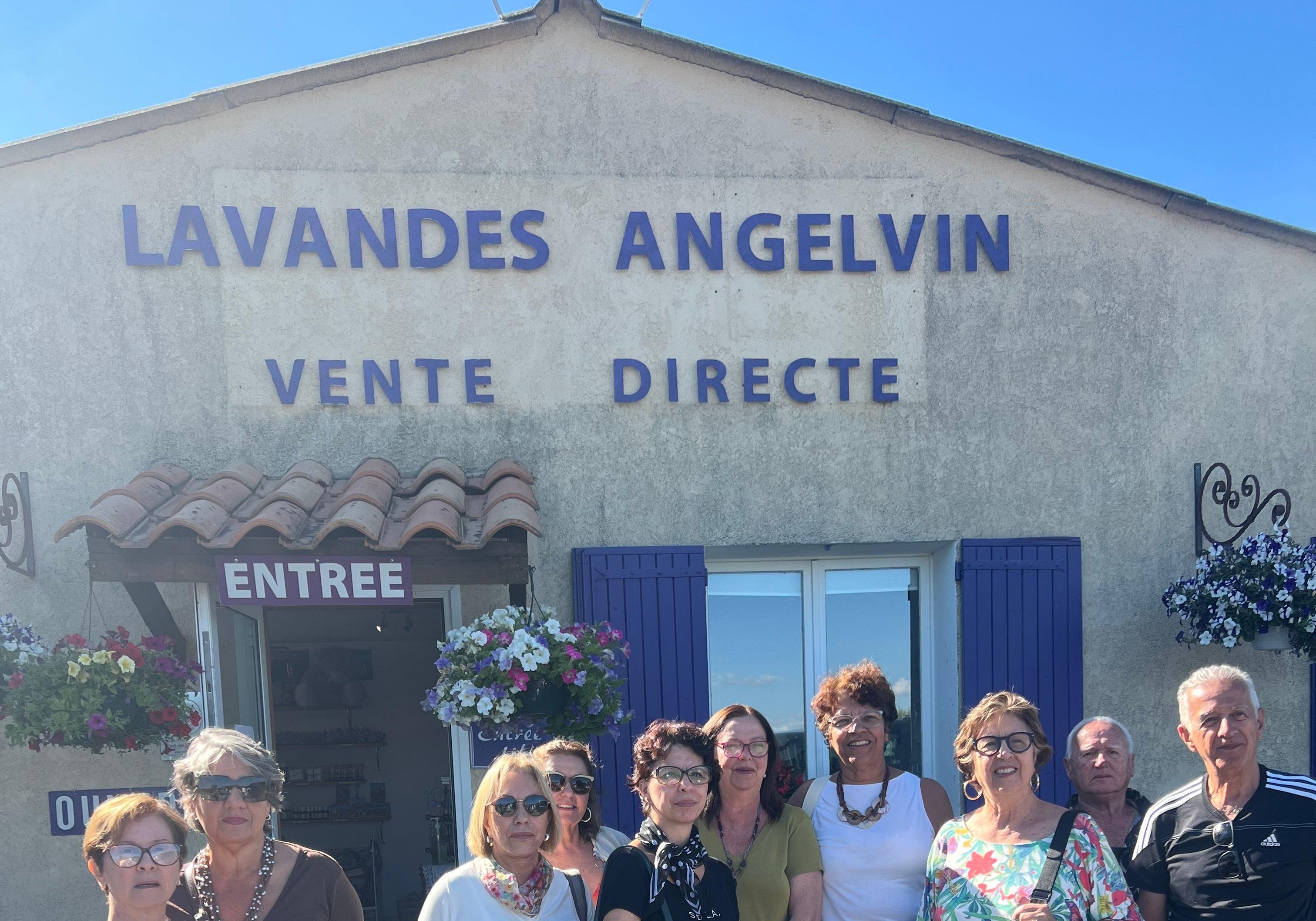 Valensole lavender fields in Provence — guided lavender tour photo 19
