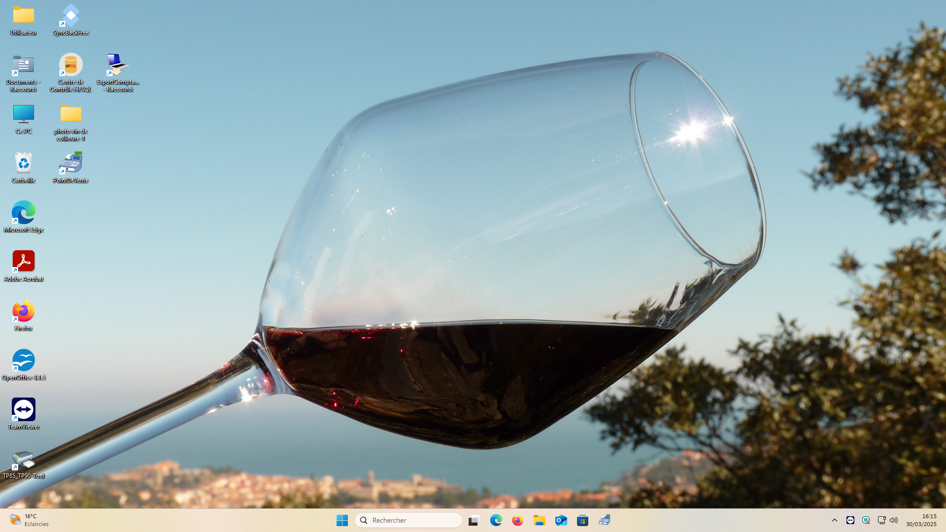 Collioure Wine Tasting with Sommelier