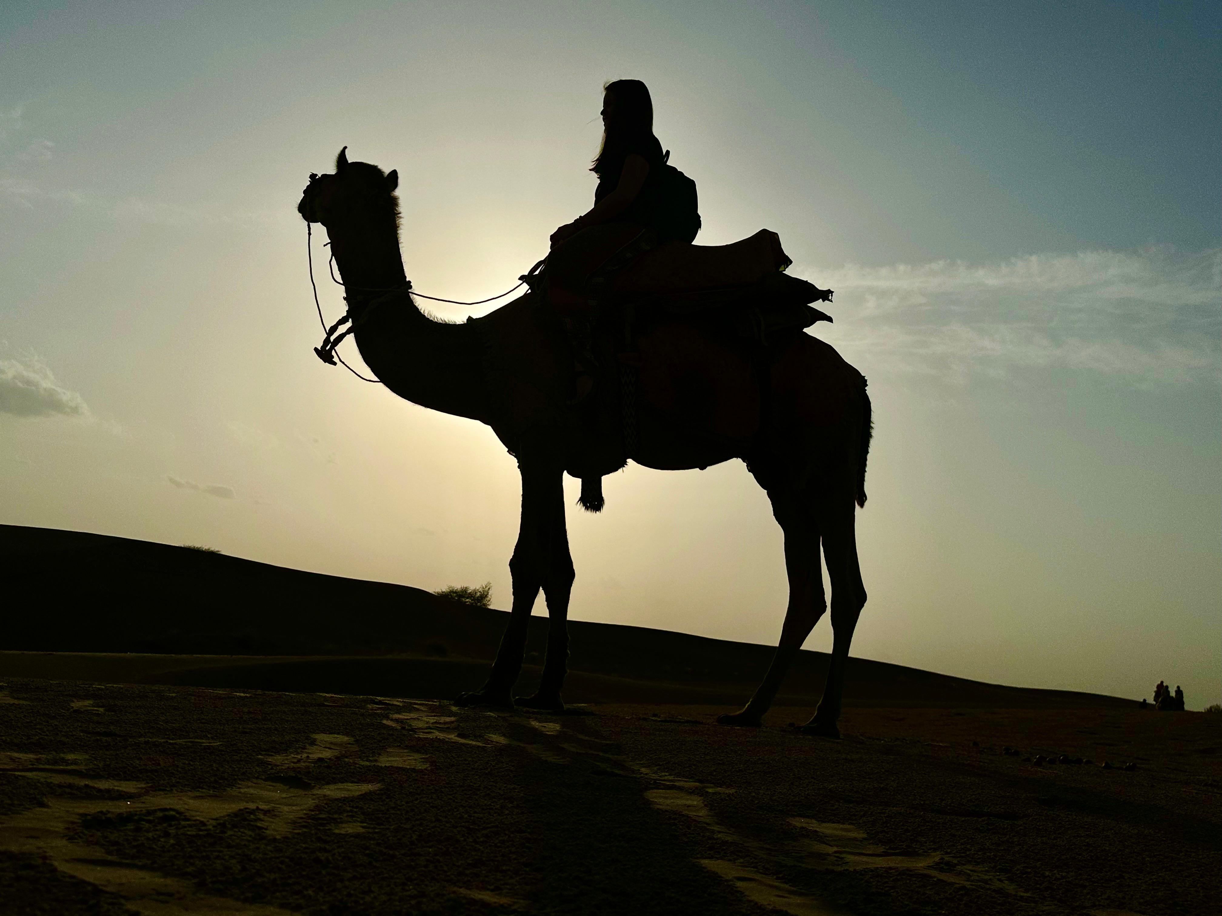 Thar Desert Sunset Camel Safari with Dinner & Cultural Show