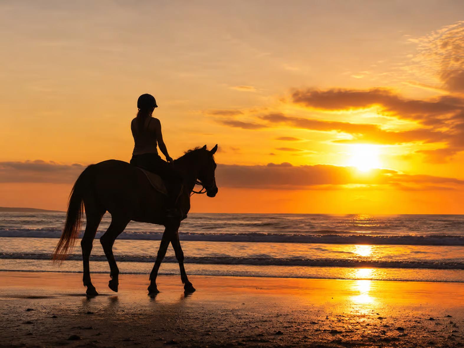 Seminyak Private Beach Horse Ride at Sunrise or Sunset