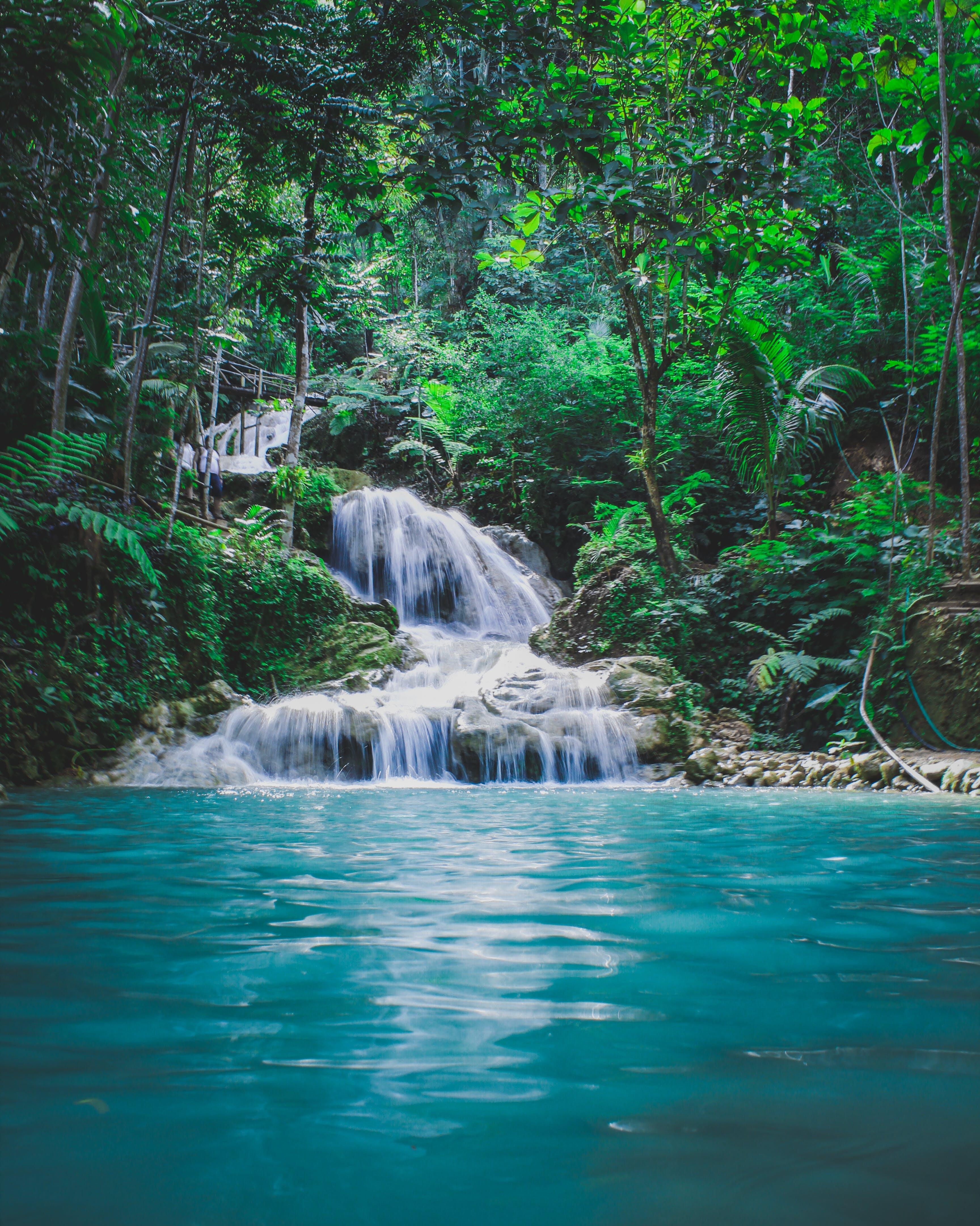 Karura Forest Nature Hiking Expedition