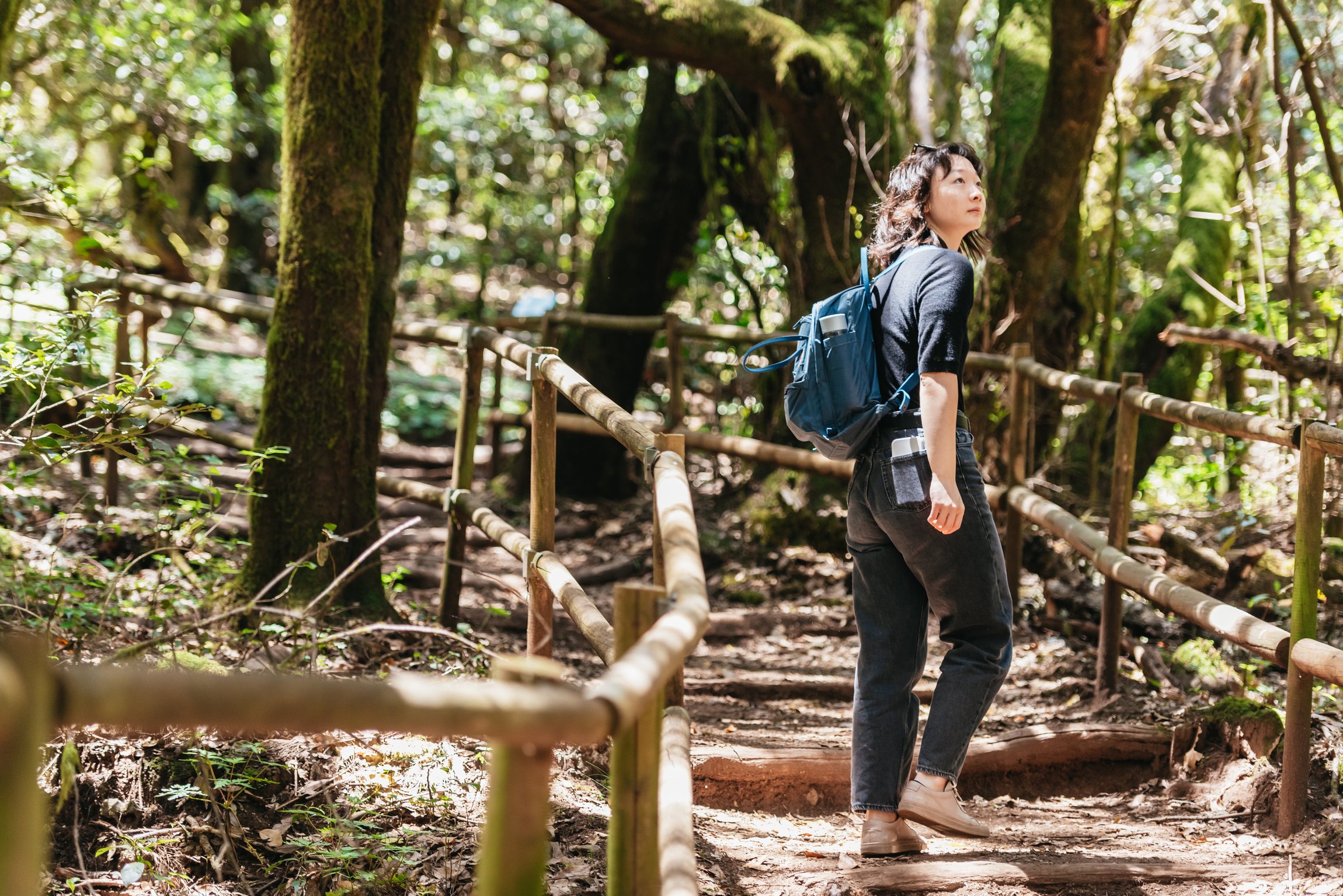 La Gomera Island Full-Day Expedition from South Tenerife