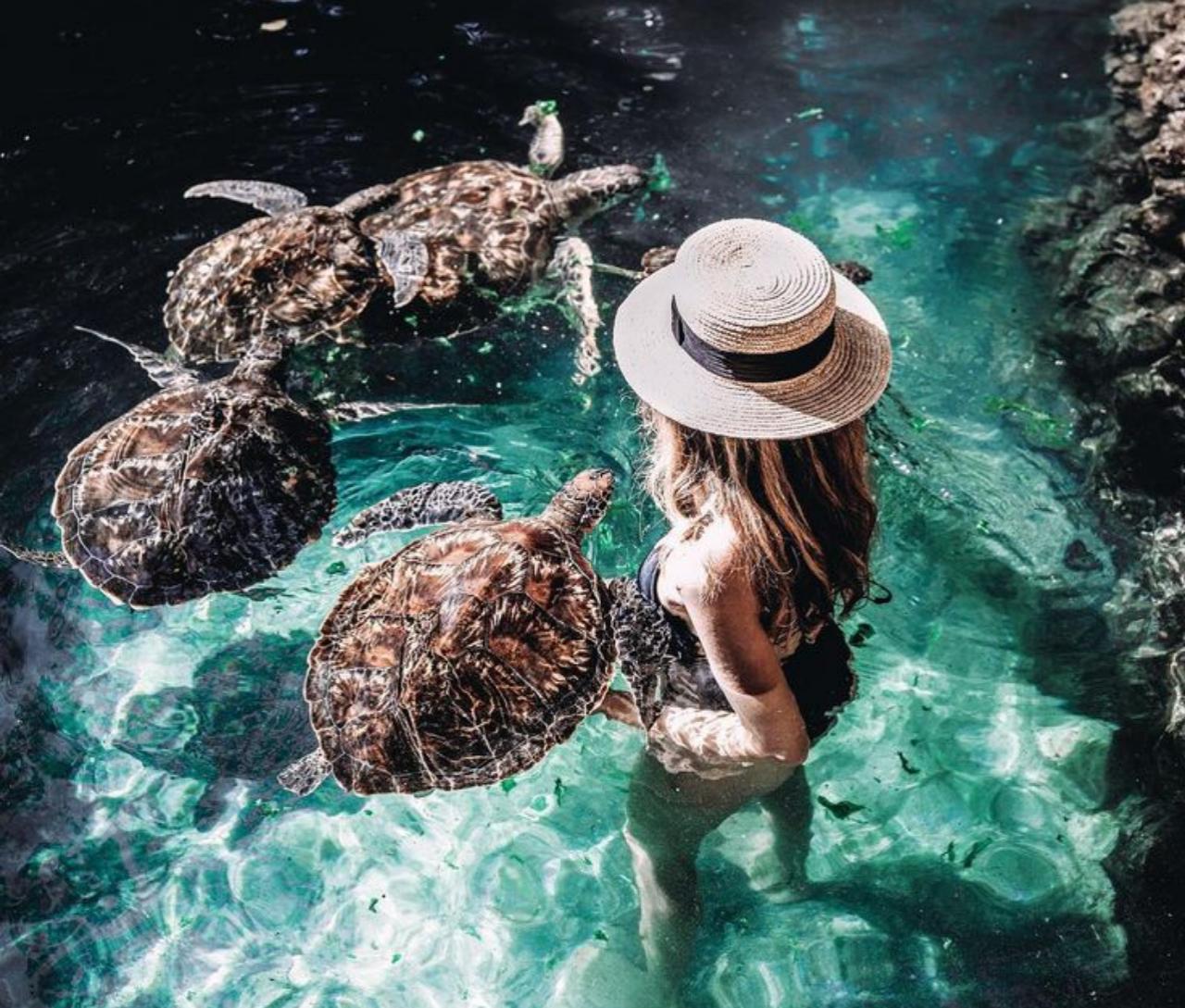 Zanzibar: Jozani Forest, Salaam Cave & The Rock Restaurant Day Tour