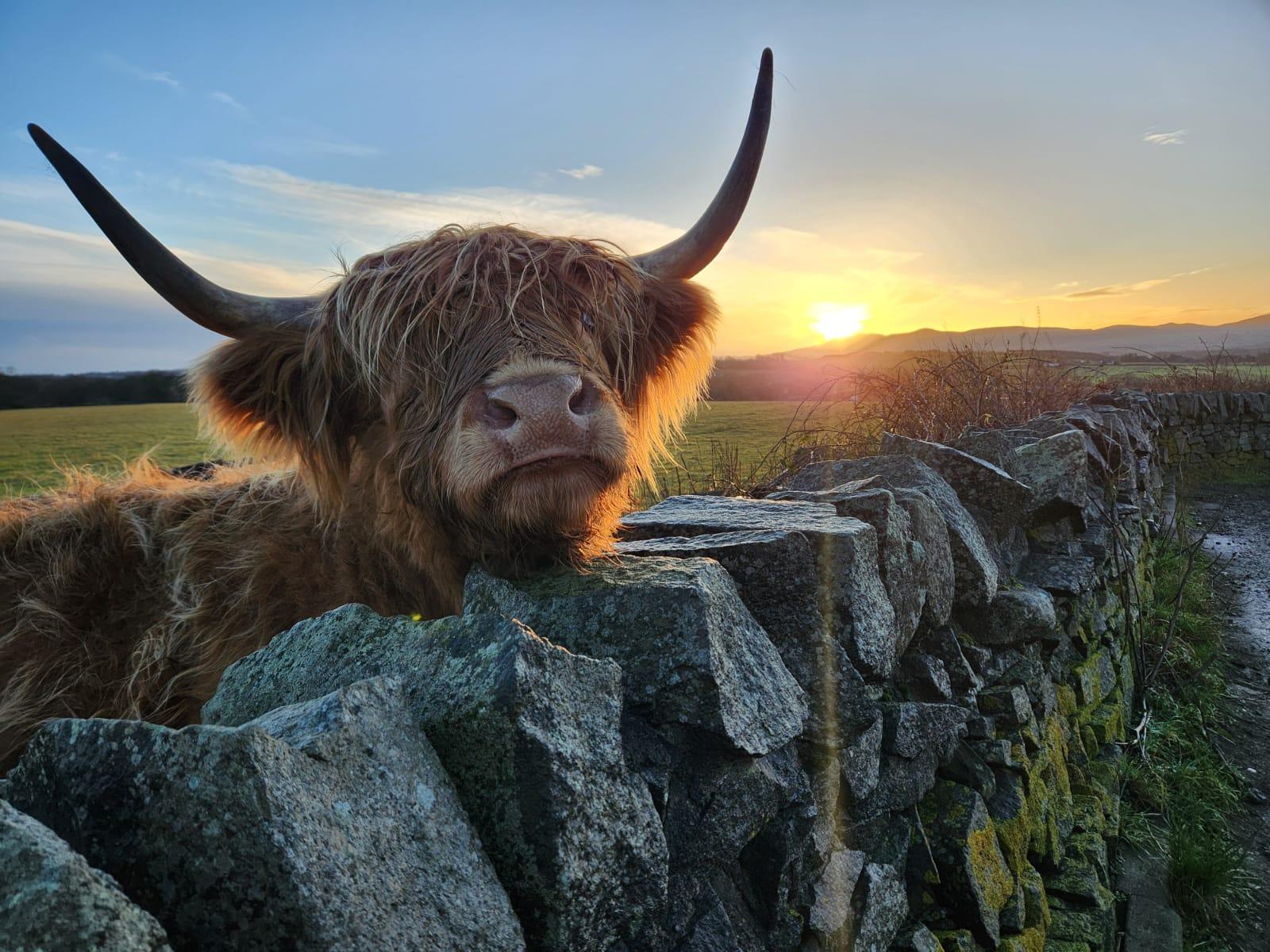 Private Scottish Highlands, Castles & Lochs Day Tour from Edinburgh