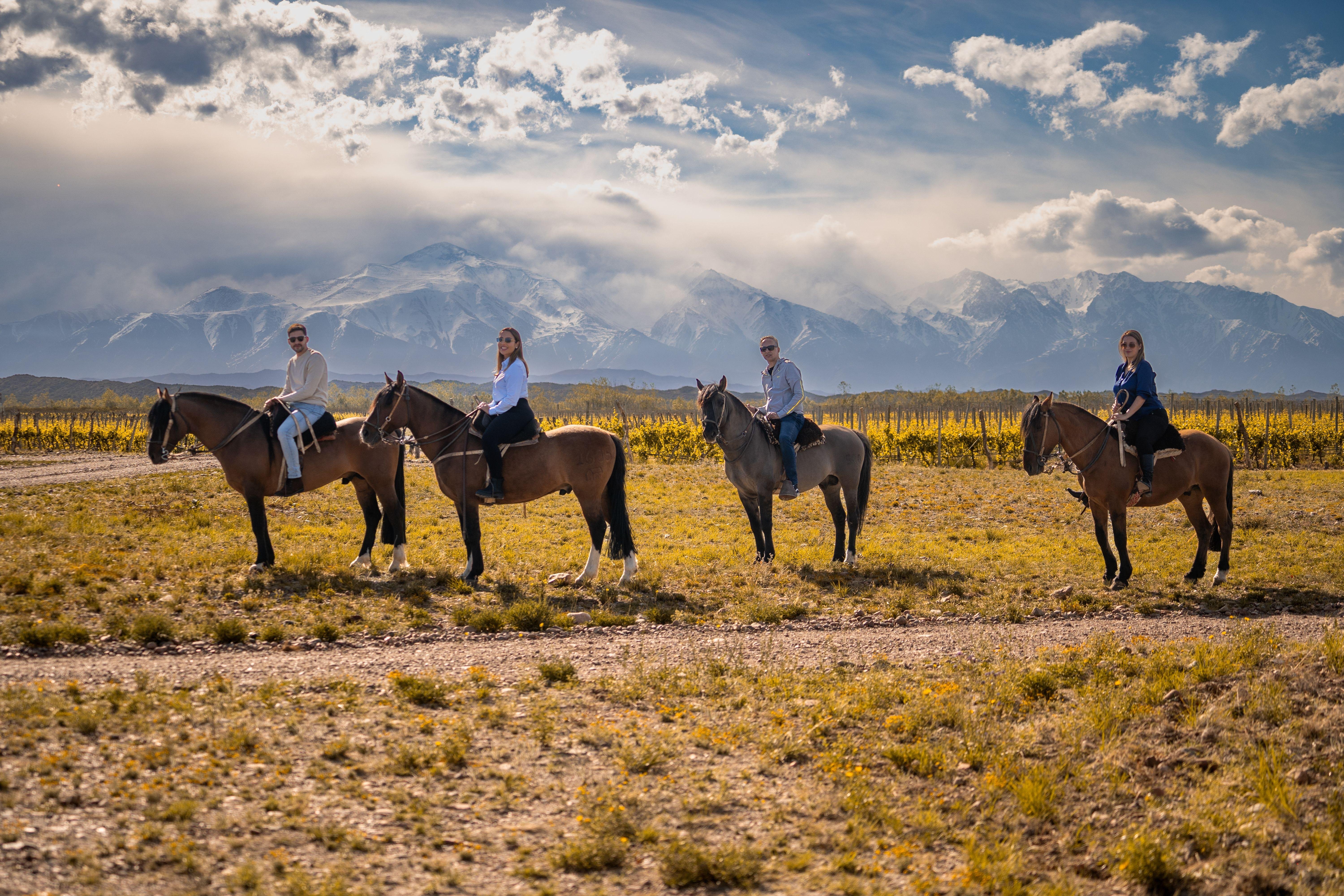 Somerset 6-Hour Experienced Horseback Safari