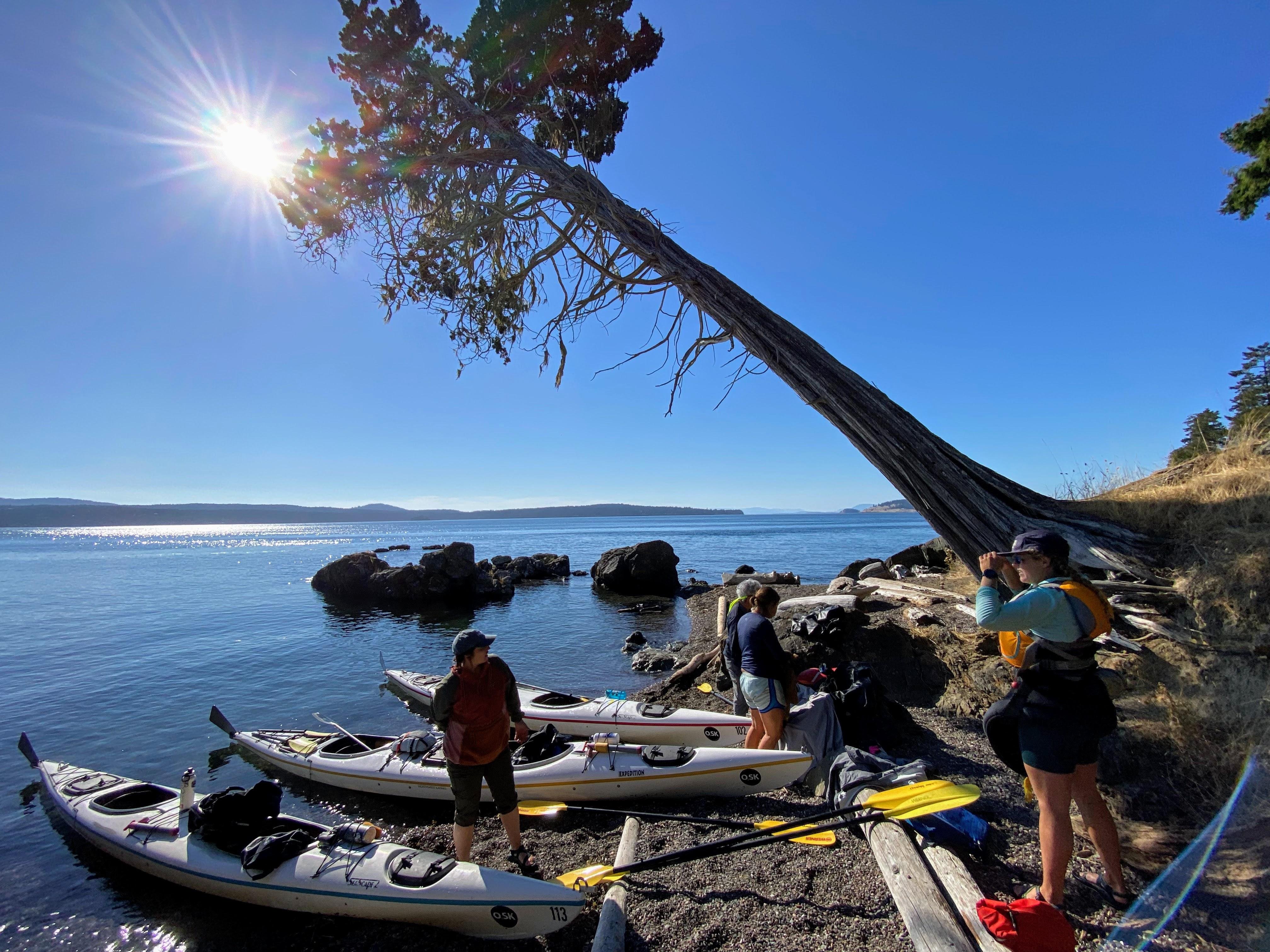 3-Day Sea Kayak & Wilderness Camping: San Juan Islands