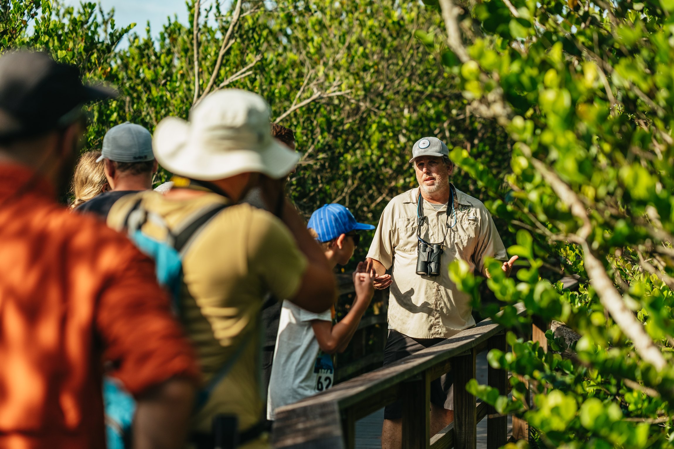 Everglades airboat tour sawgrass marsh alligator wildlife near Miami Florida — image 7