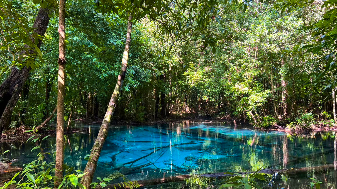 Krabi Jungle Day Tour: Emerald Pool, Hot Springs & Tiger Cave Temple