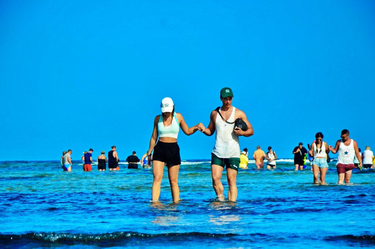 Sal Island Full-Day Tour: Blue Eye, Shark Bay & Salt Flats