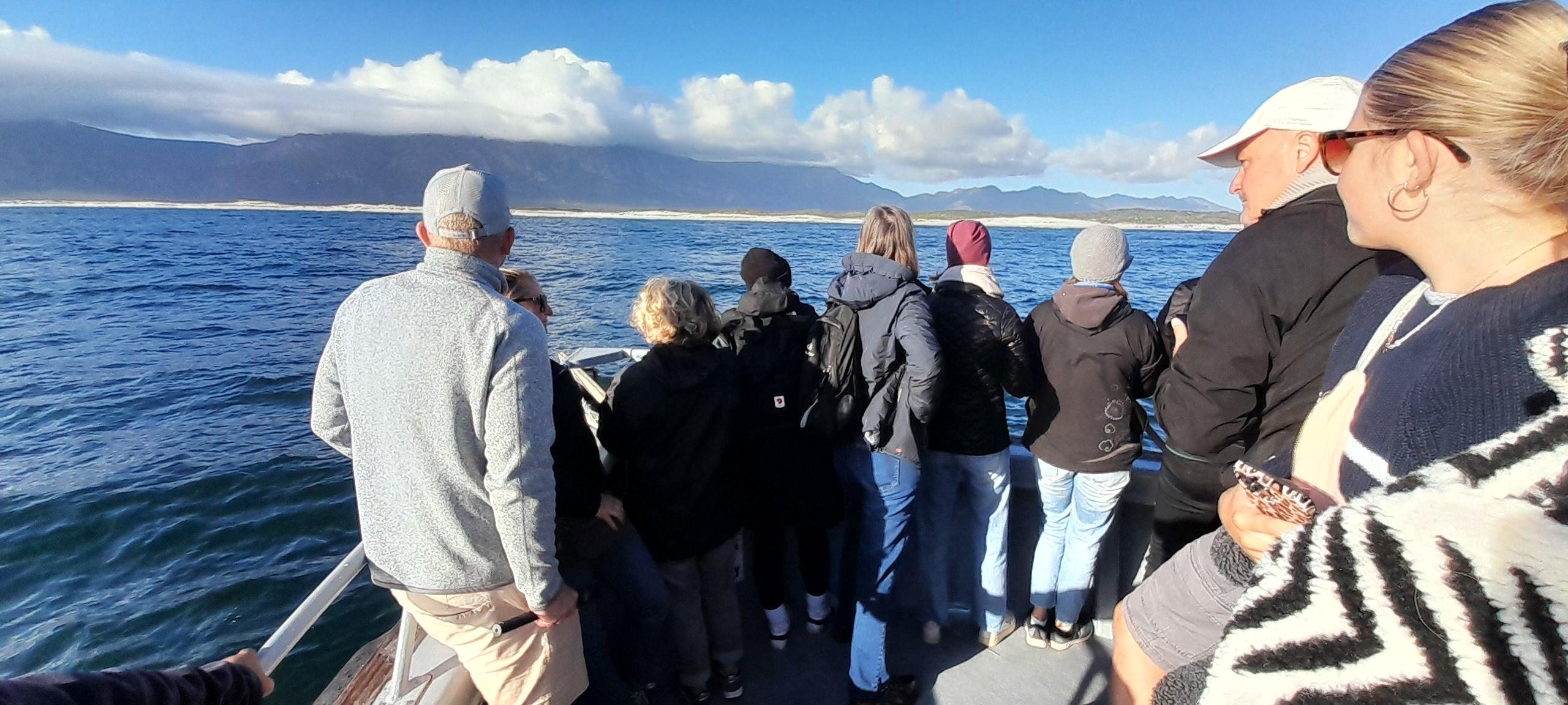 Hermanus Whale Watching Sunset Cruise with Penguin Colony Visit
