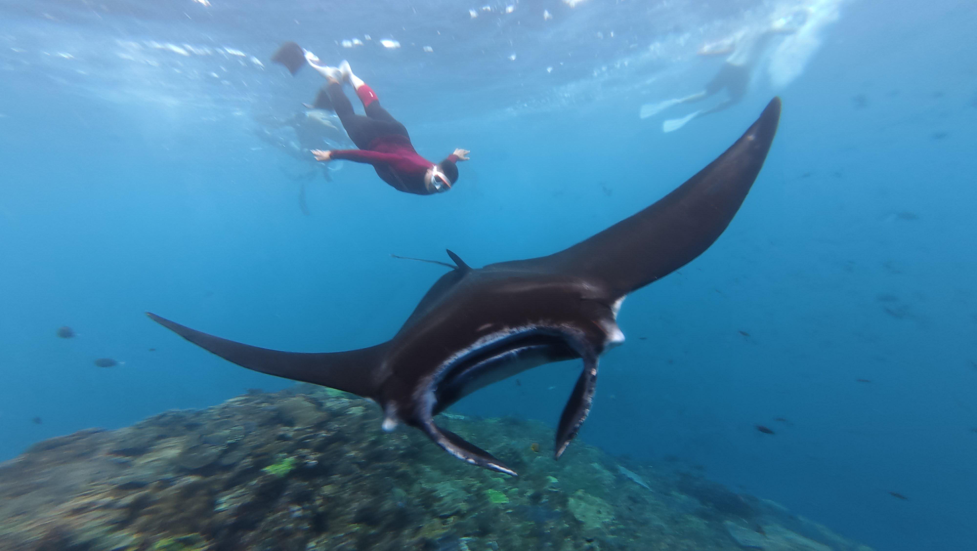 Nusa Penida Three-Stop Snorkeling with Manta Rays