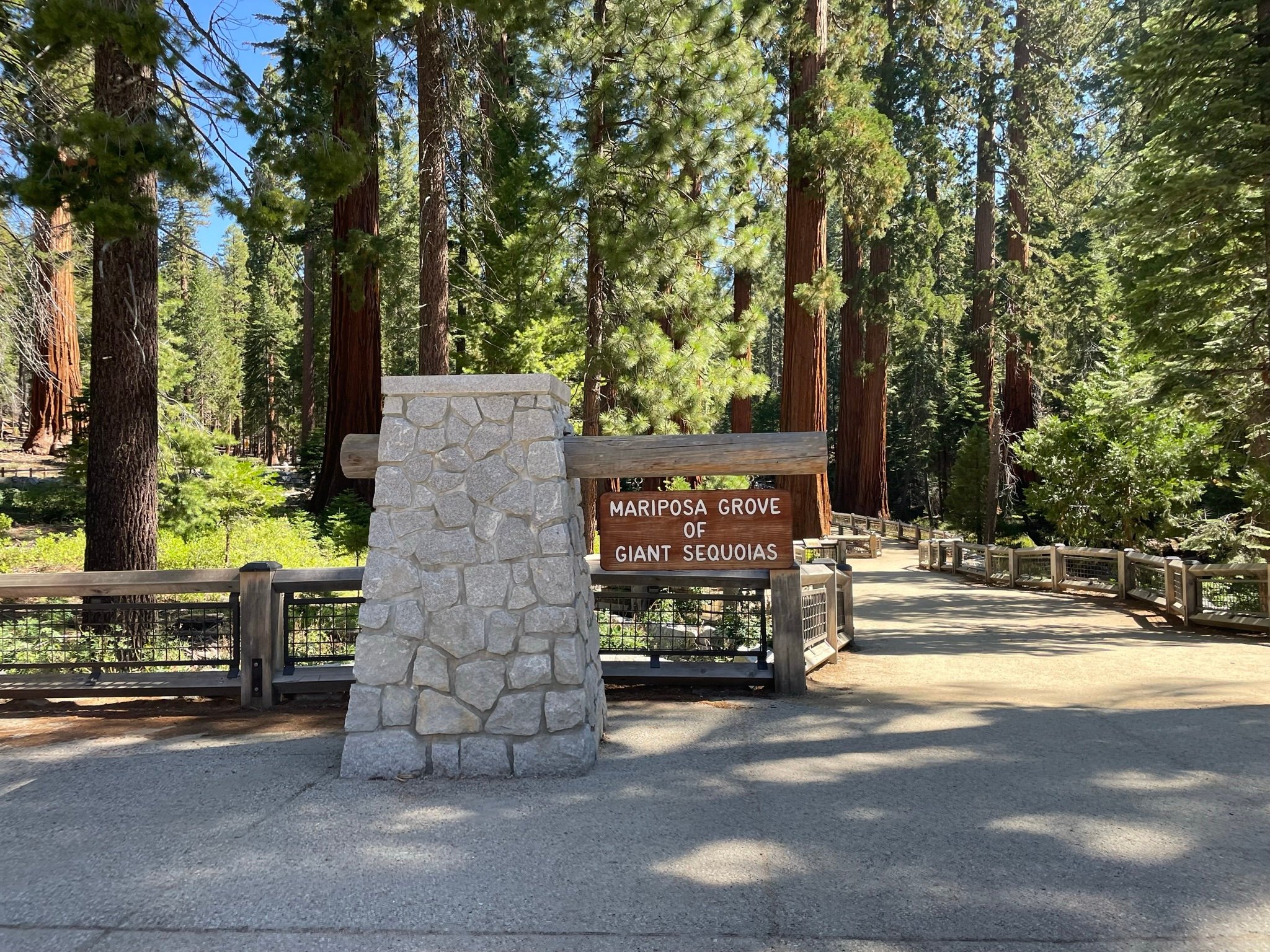 Yosemite, Giant Sequoias, Private Tour from San Francisco