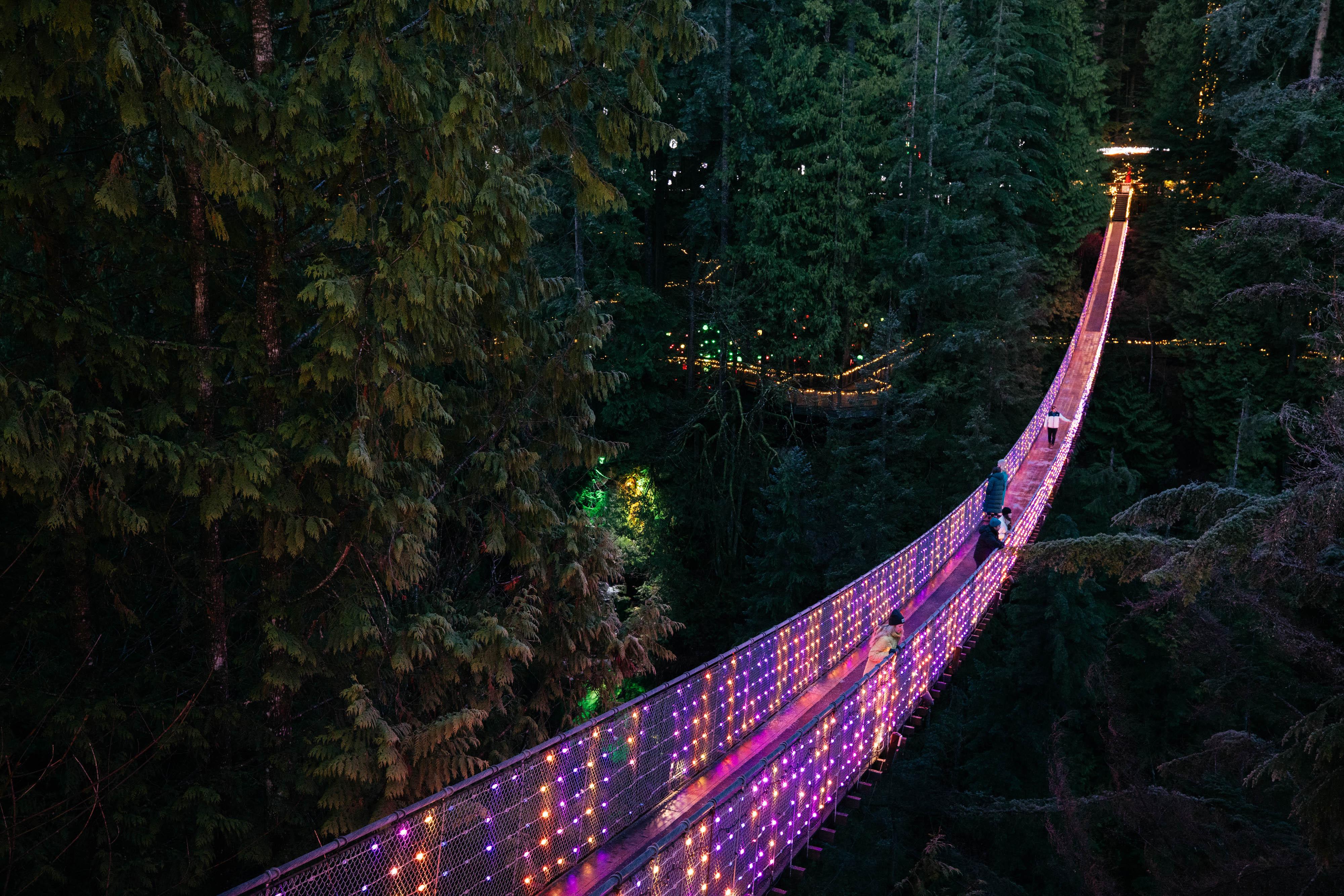 Capilano Suspension Bridge Park Entry