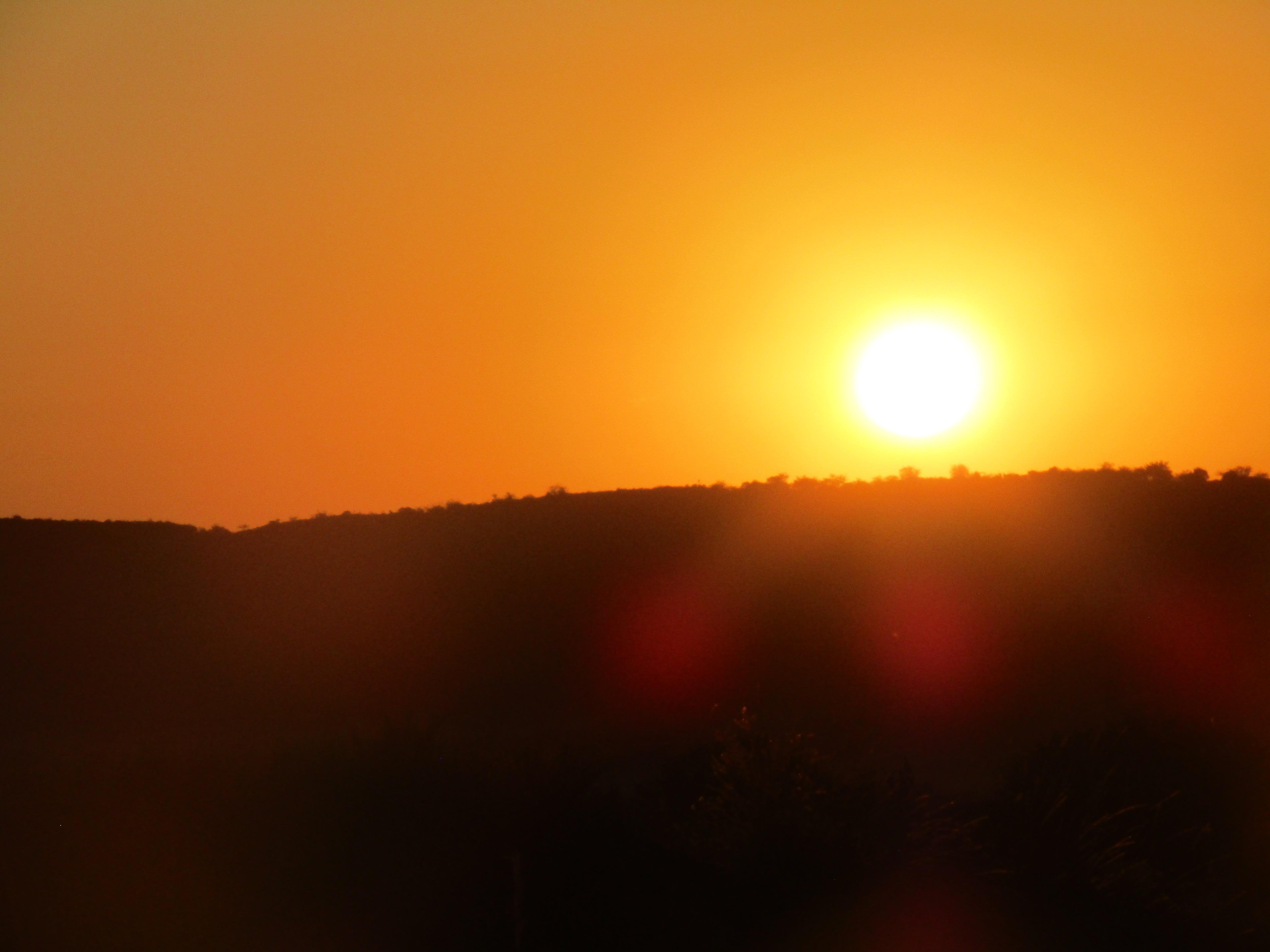 3-Day Masai Mara Safari Adventure from Nairobi